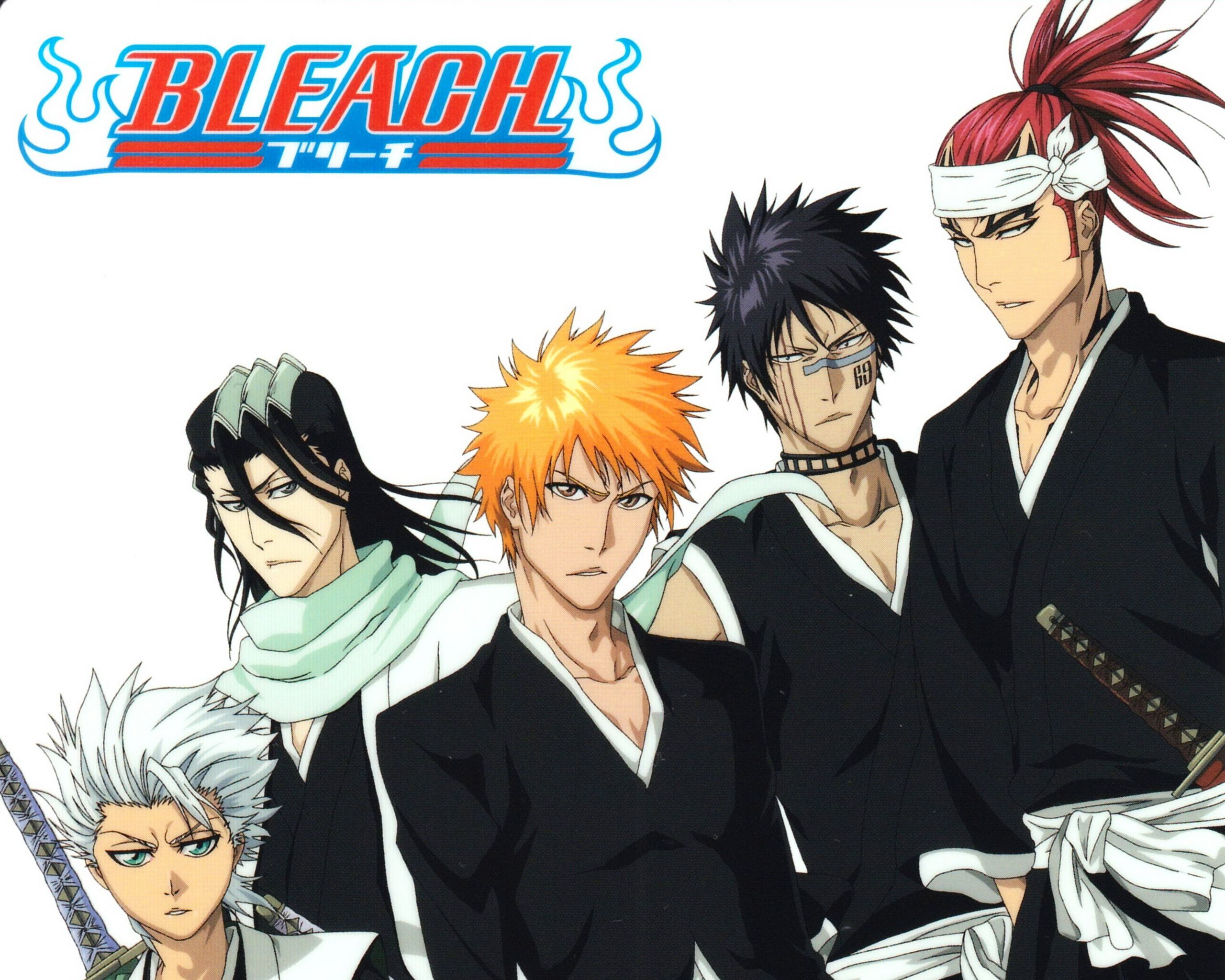 Personaggi maschili Bleach anime, 2560x2048 WQXGA, Desktop