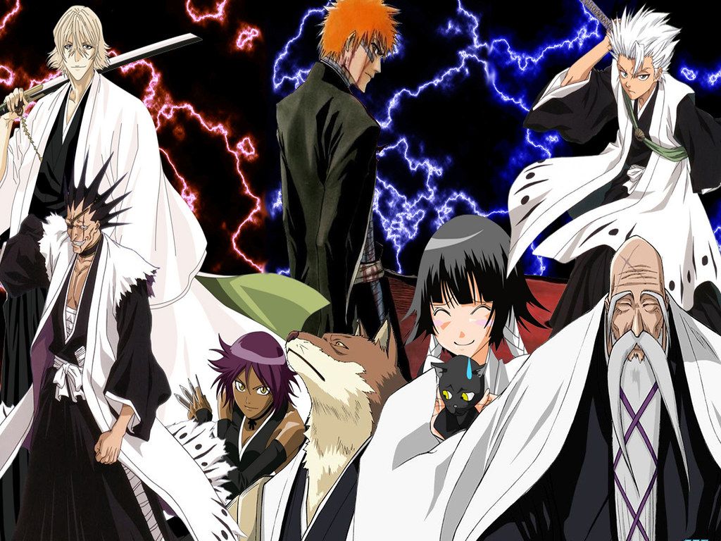 Capitani Bleach anime gruppo, 1024x768 HD, Desktop