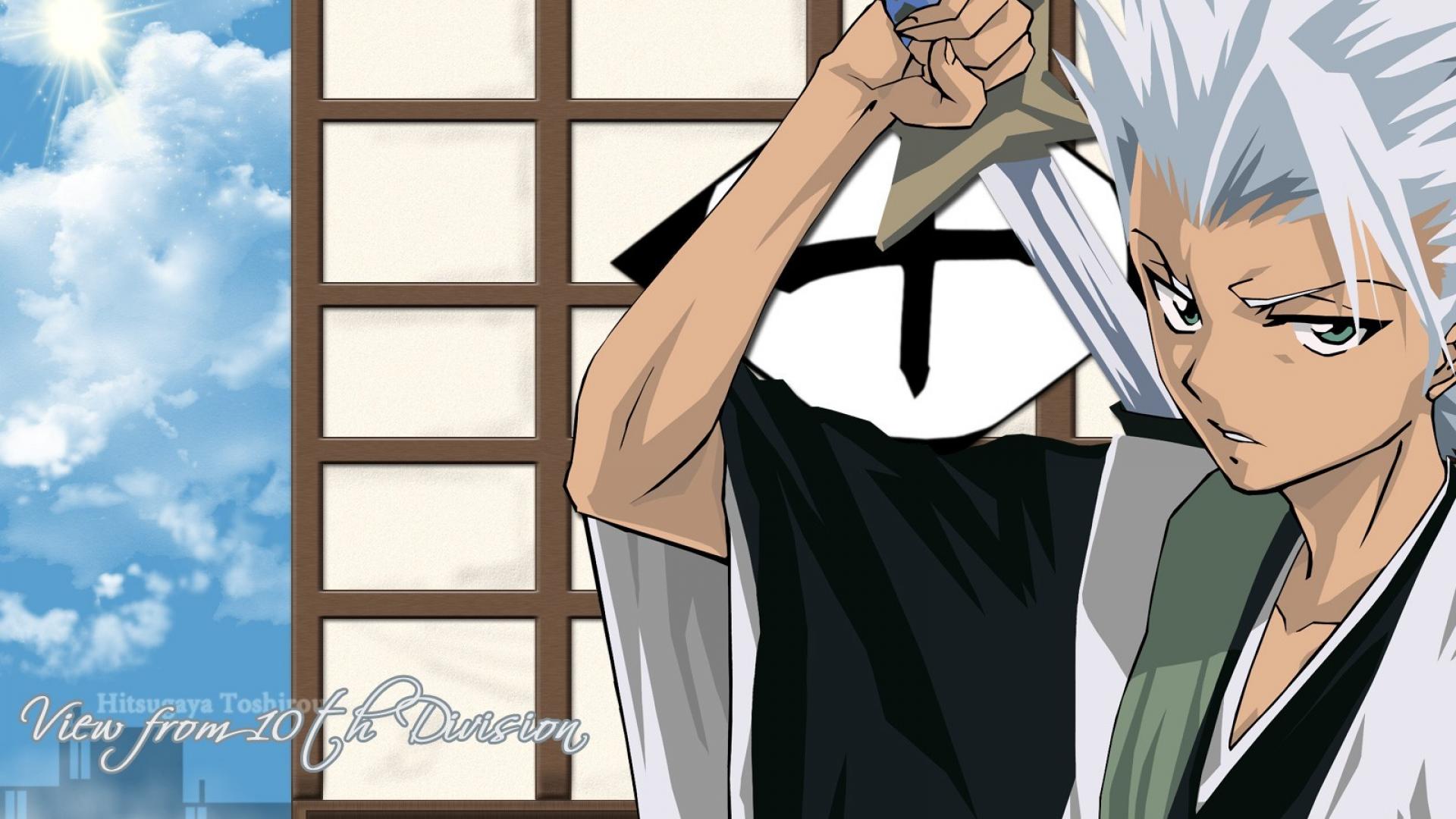 Hitsugaya Toshiro Bleach, 1920x1080 Full HD 1080p, Desktop