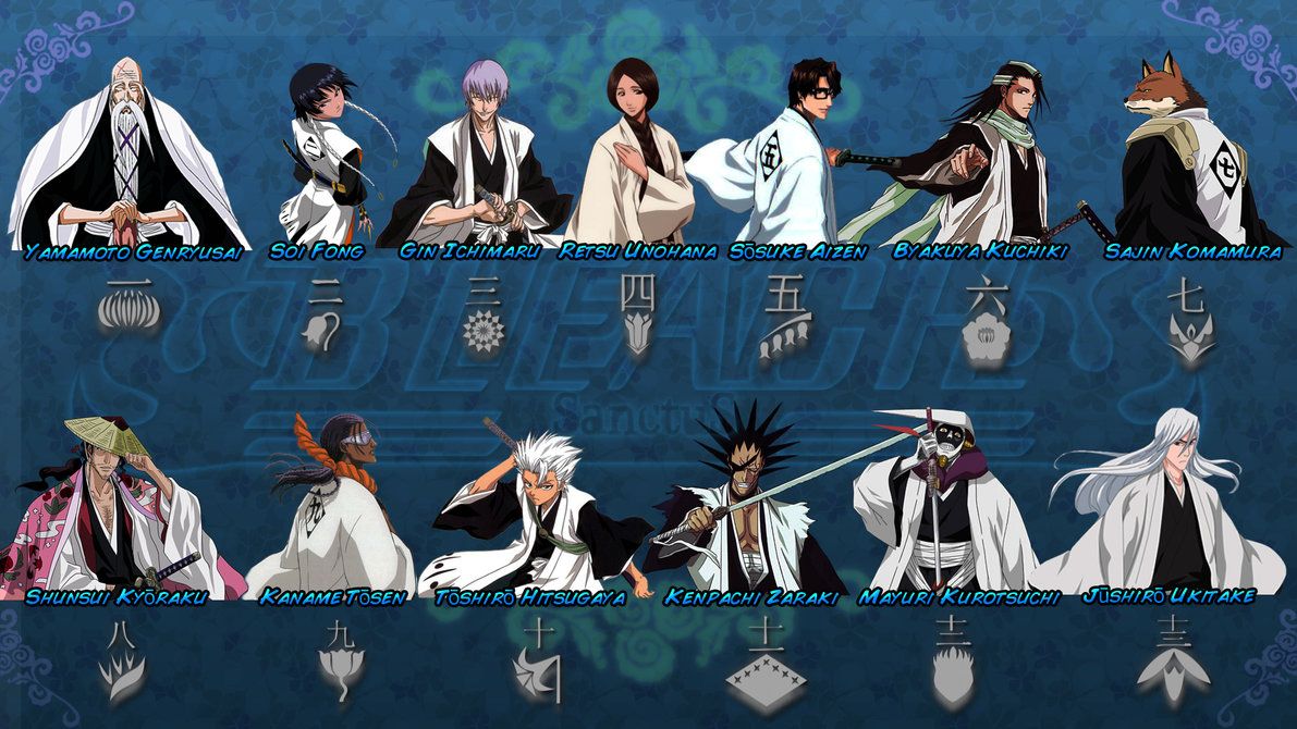Capitani Bleach in fila, 1191x670 HD, Laptop