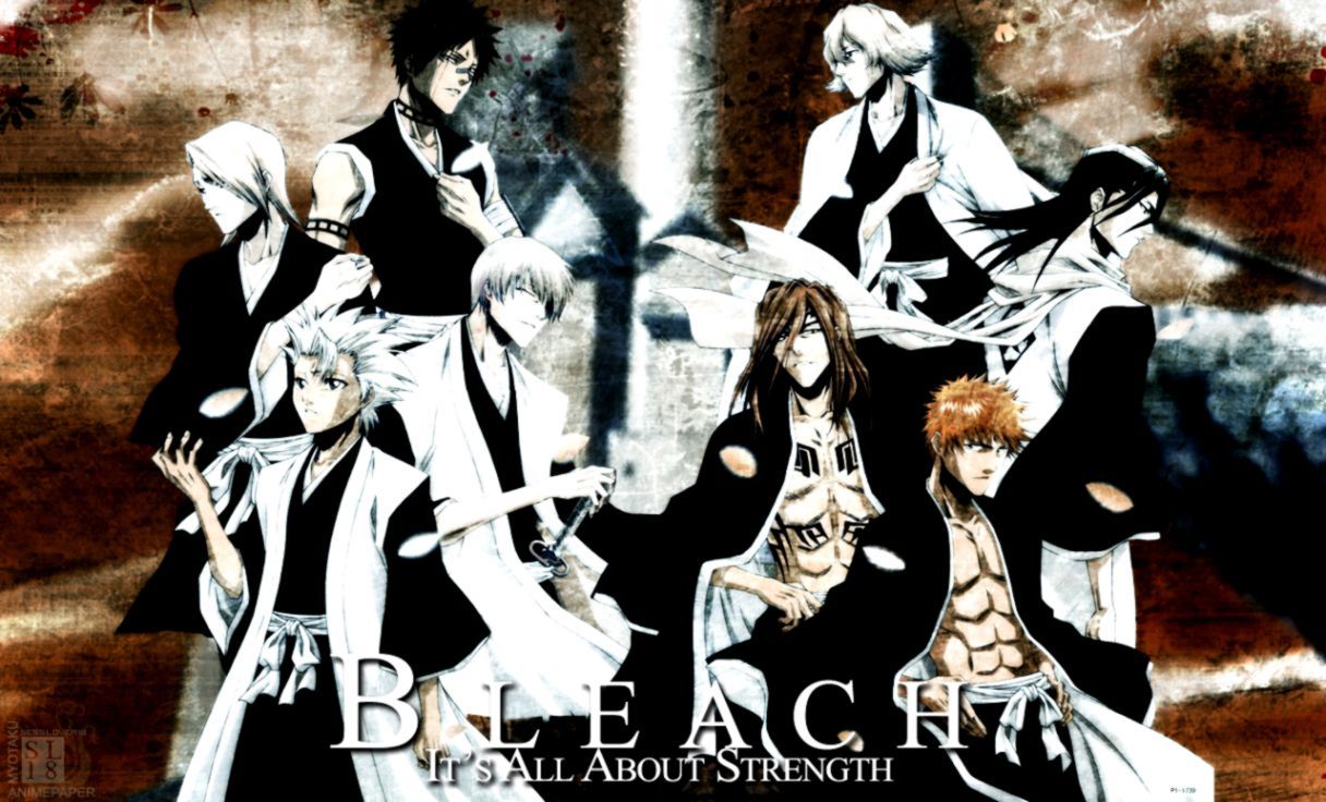 Capitani Bleach anime gruppo, 1216x736 HD, PC