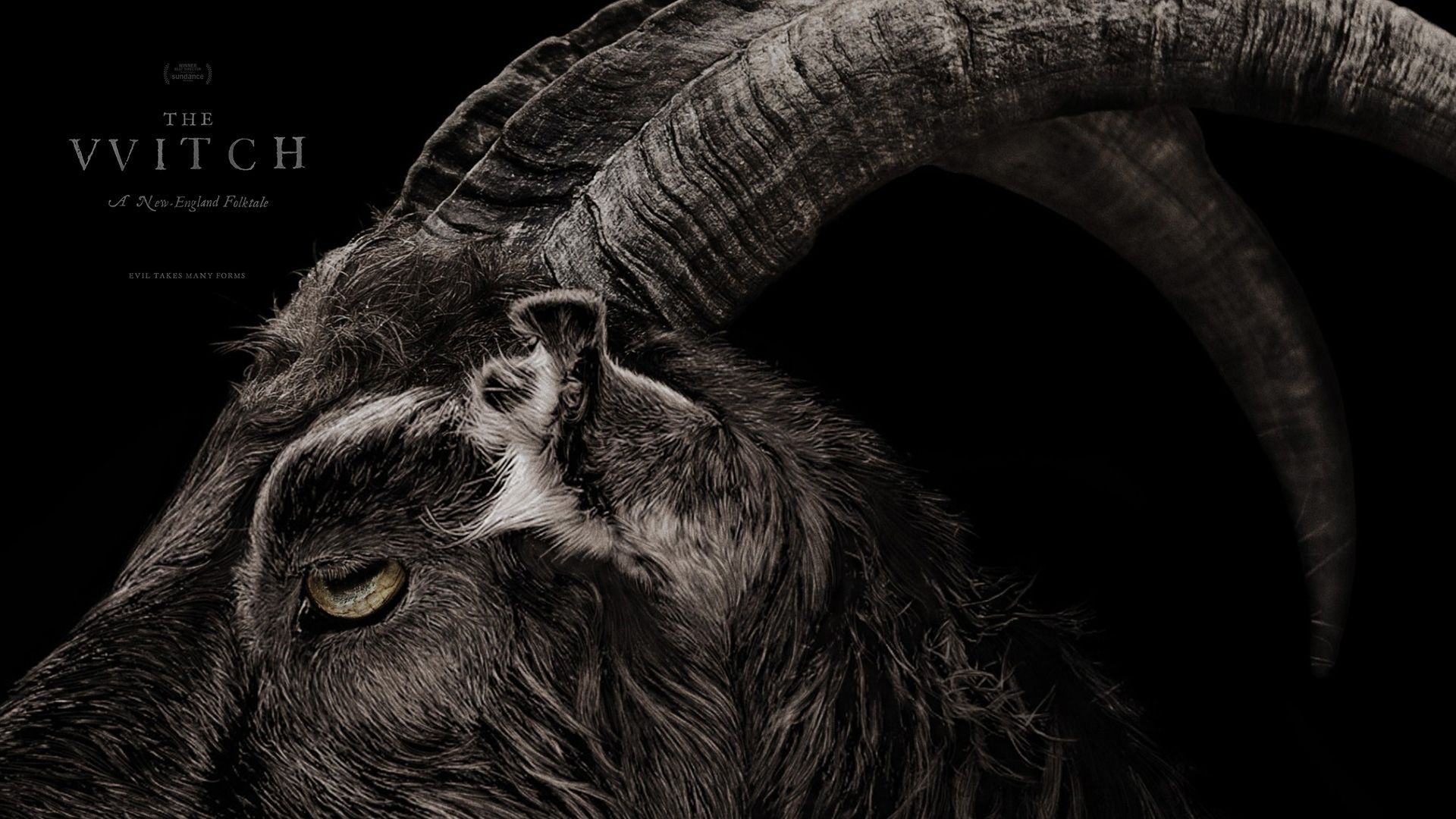 Capra nera film The Witch, 1920x1080 Full HD 1080p, Desktop
