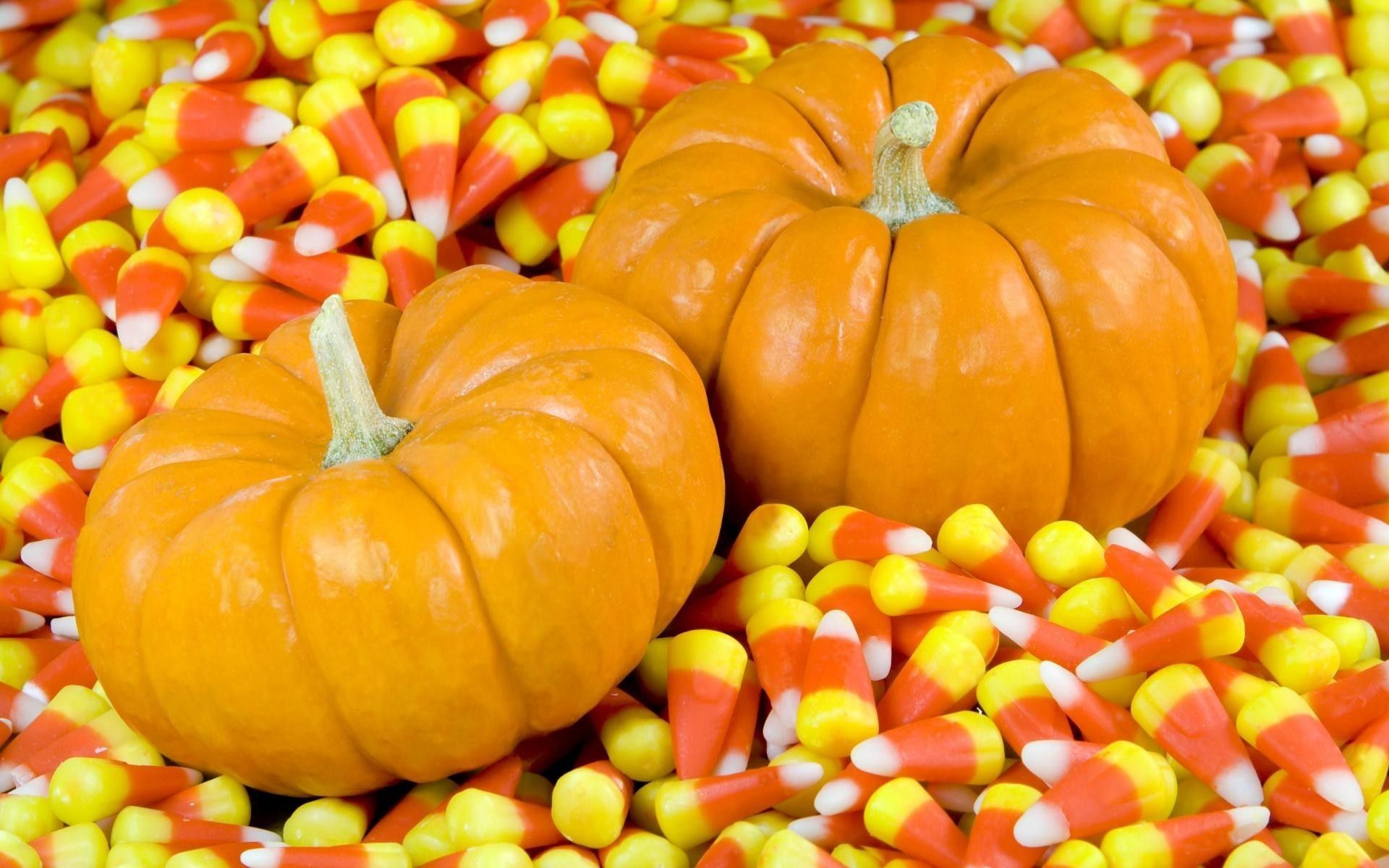 Zucche e caramelle candy corn, 1920x1200 WUXGA, Laptop
