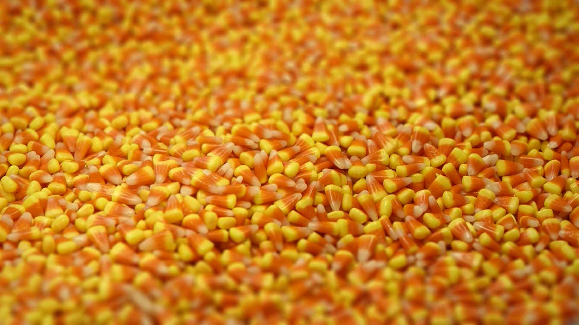 Caramelle candy corn Halloween, 1920x1080 Full HD 1080p, PC
