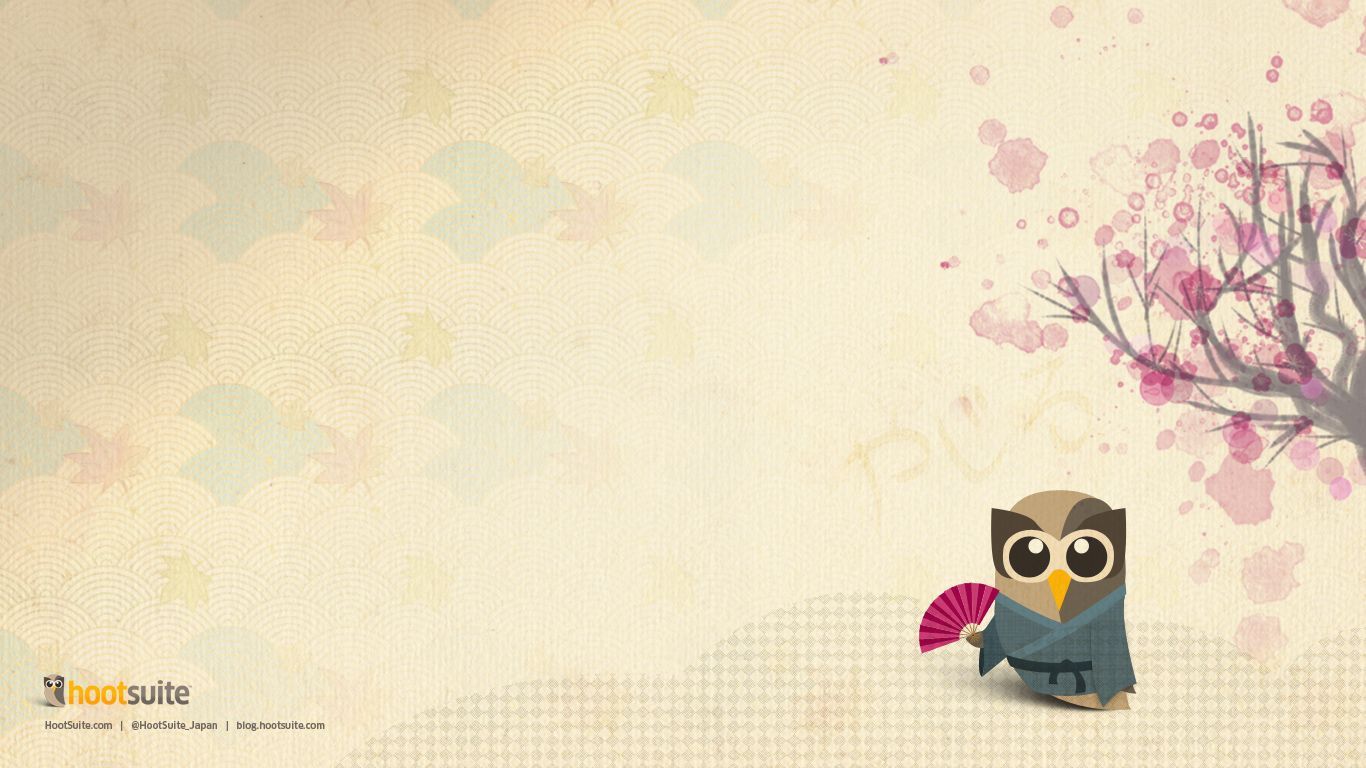 Gufetto carino con fiori di ciliegio, 1366x768 HD, Desktop