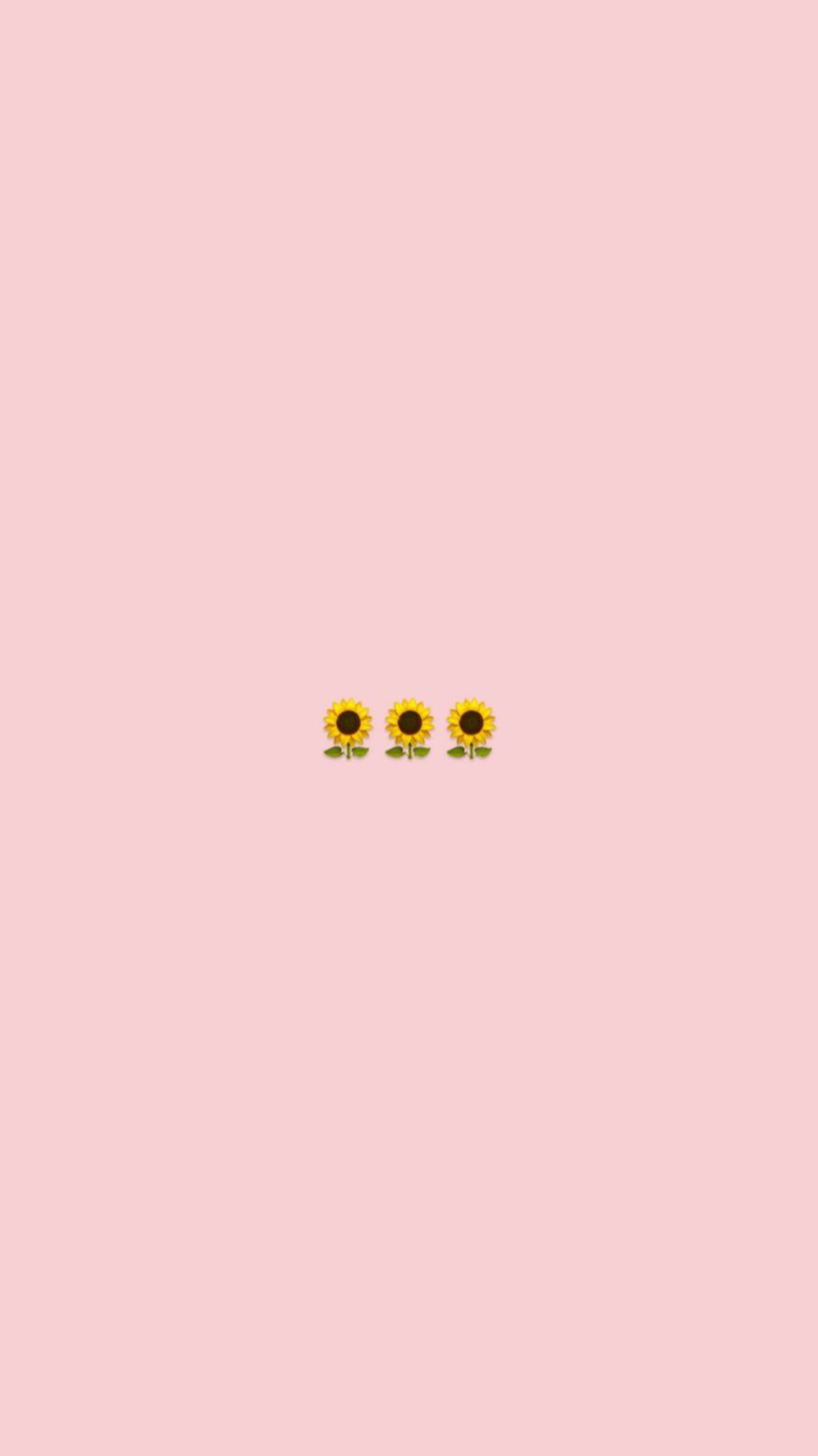 Tre girasoli sfondo rosa, sfondi Carini, 890x1583 Verticale, Telefono