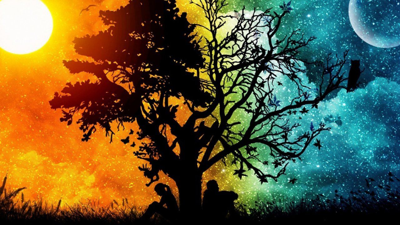 Albero silhouette giorno e notte, sfondi Carini, 1280x720 720p, iMac