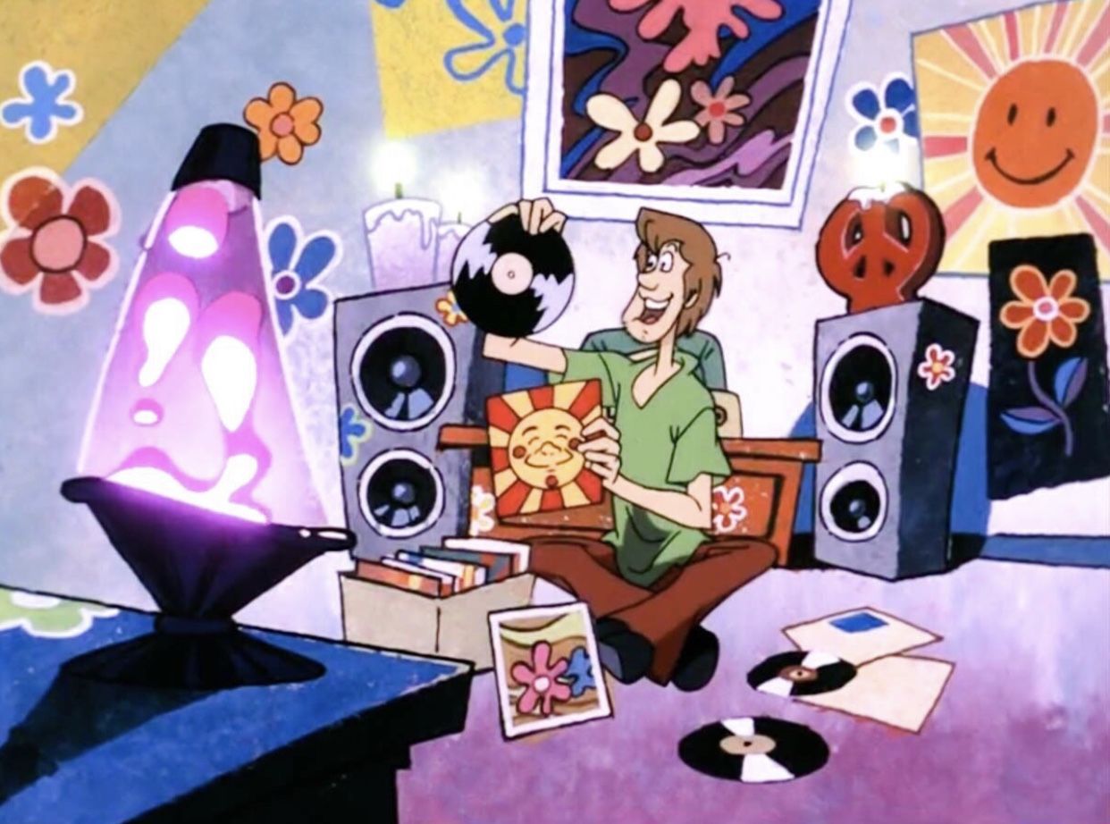 Shaggy Scooby-Doo stanza retro hippie, Shaggy e Velma, 1242x922 HD, Laptop