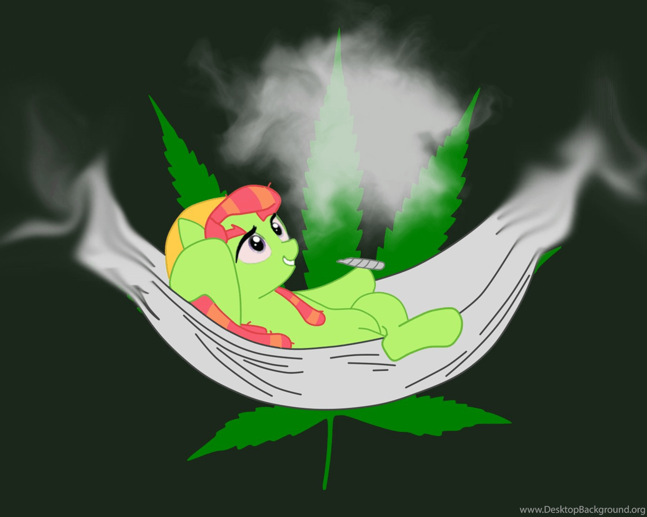 Pony verde su amaca foglia, 1280x1024 720p, PC