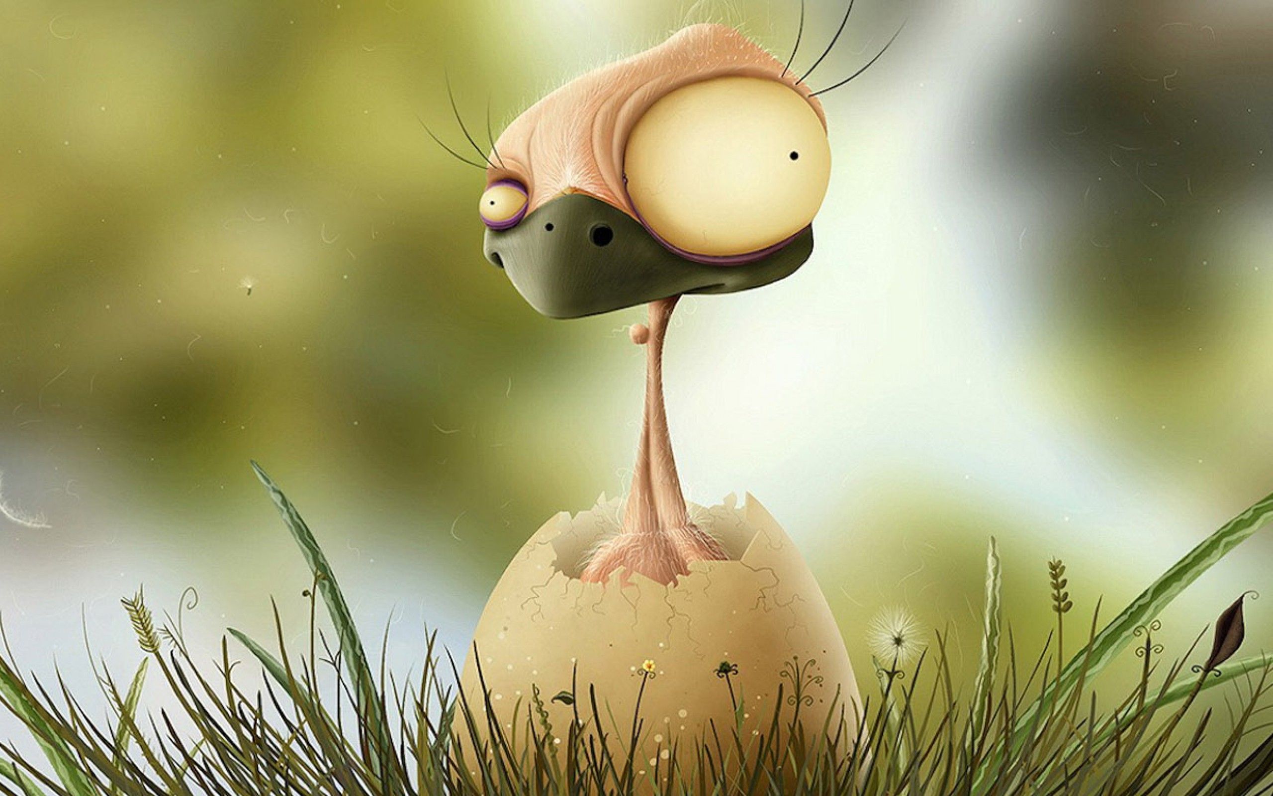 Uccellino 3D uovo erba, 2560x1600 2K, Desktop