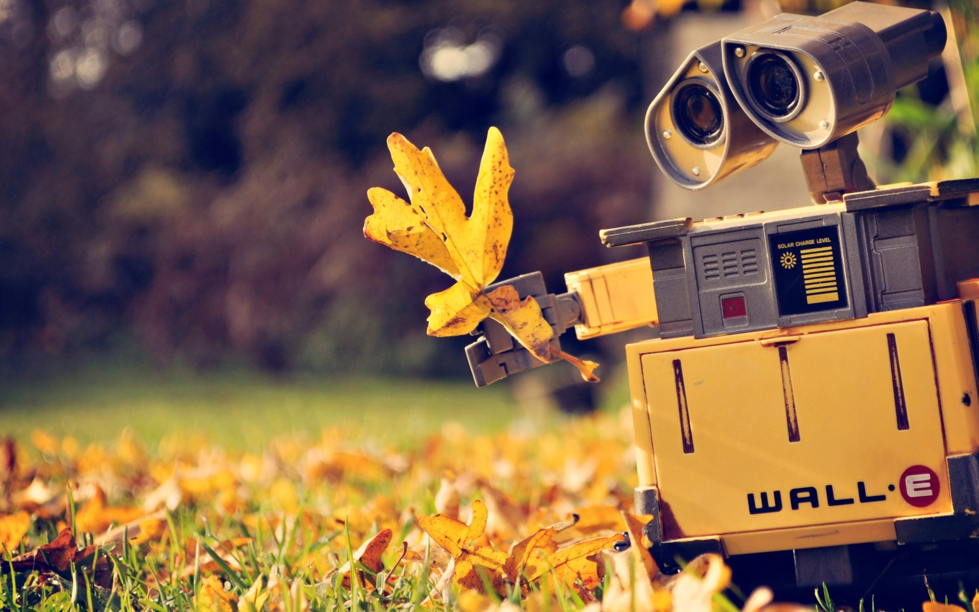 WALL-E robot foglia autunno, 1920x1200 Full HD+, Desktop