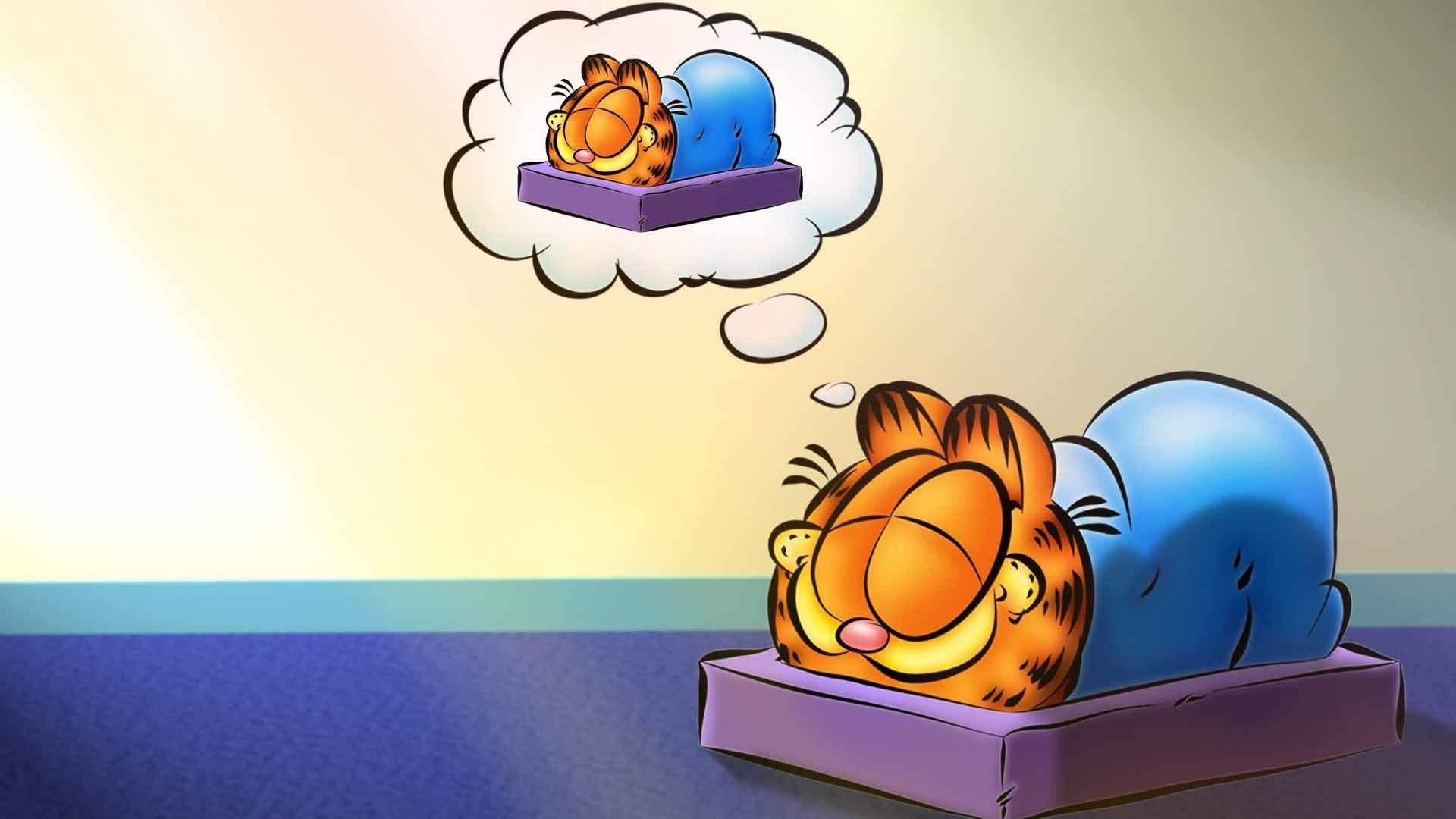 Garfield addormentato che sogna, 1920x1080 Full HD, PC Desktop