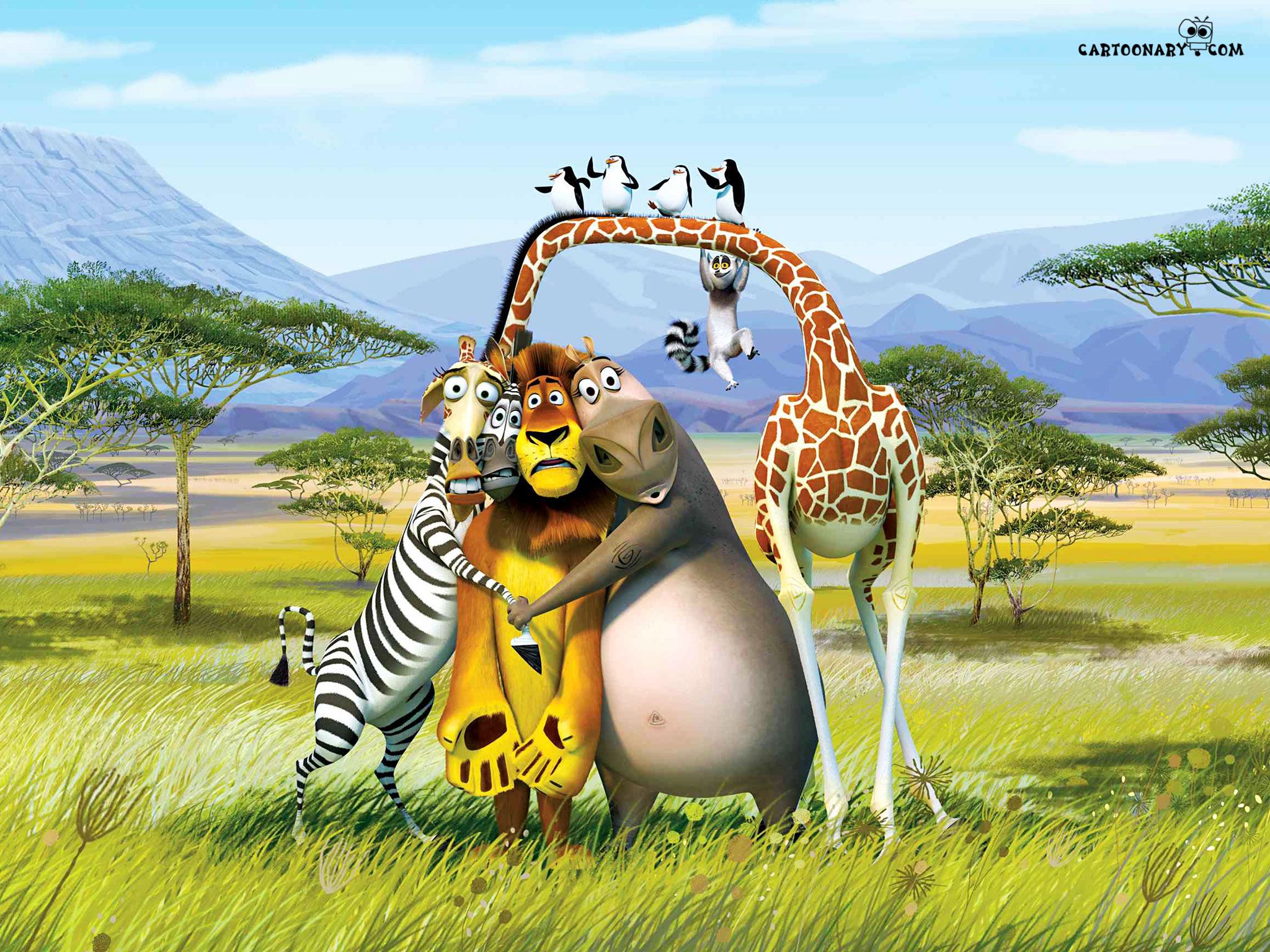 Madagascar personaggi cartone animato, 2048x1536 Hi-Res, Laptop