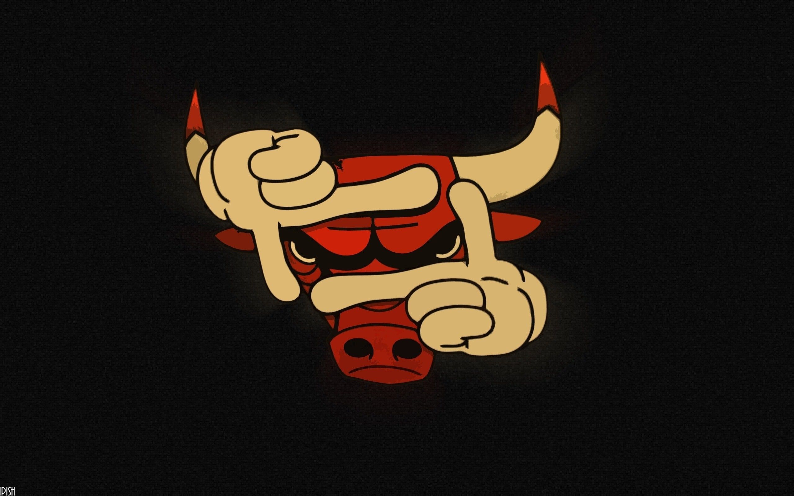 Logo Bulls stile cartoon, 2560x1600 2K, Desktop