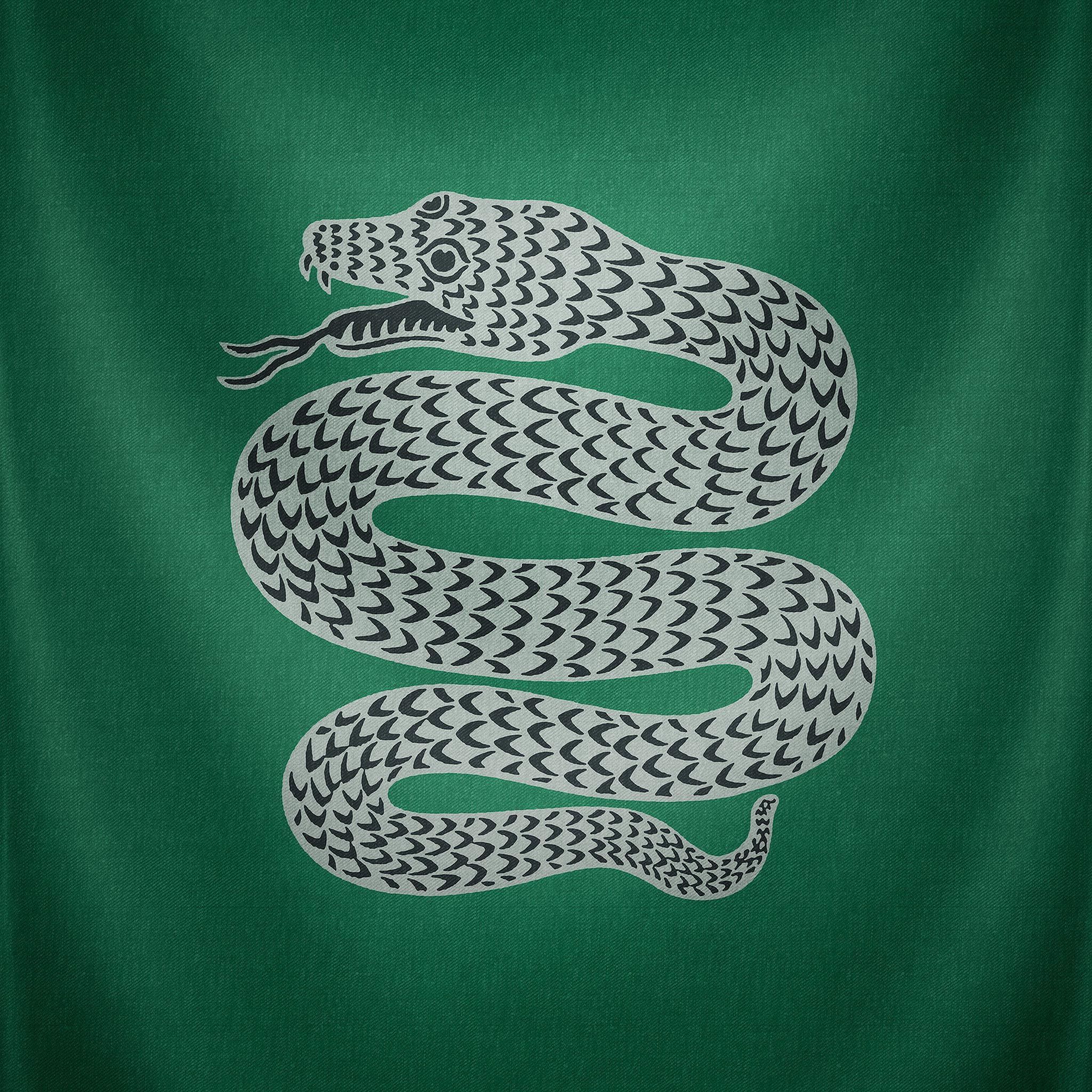 Serpente Serpeverde su verde, 2048x2048 alta risoluzione, Desktop