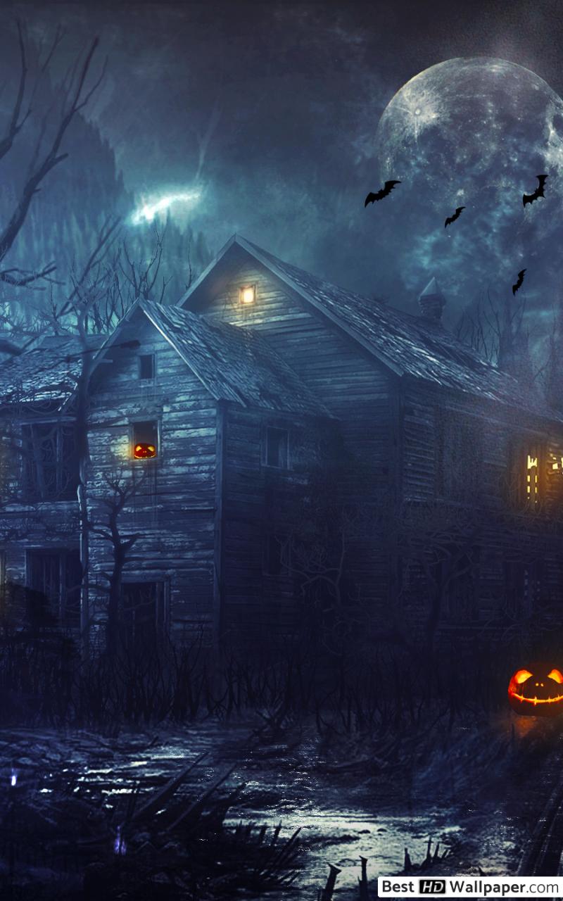 Casa stregata notturna Halloween, 800x1280 Full HD Verticale, iPhone