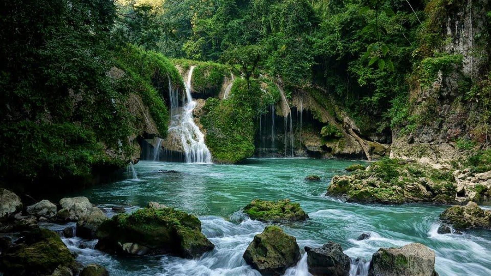 Cascata nella foresta verde, 1920x1080 1080p, Desktop