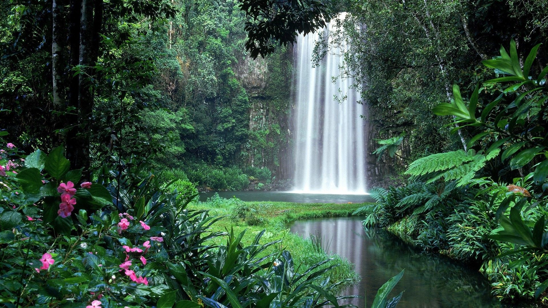 Cascata nella foresta tropicale, 1920x1080 Full HD 1080p, PC