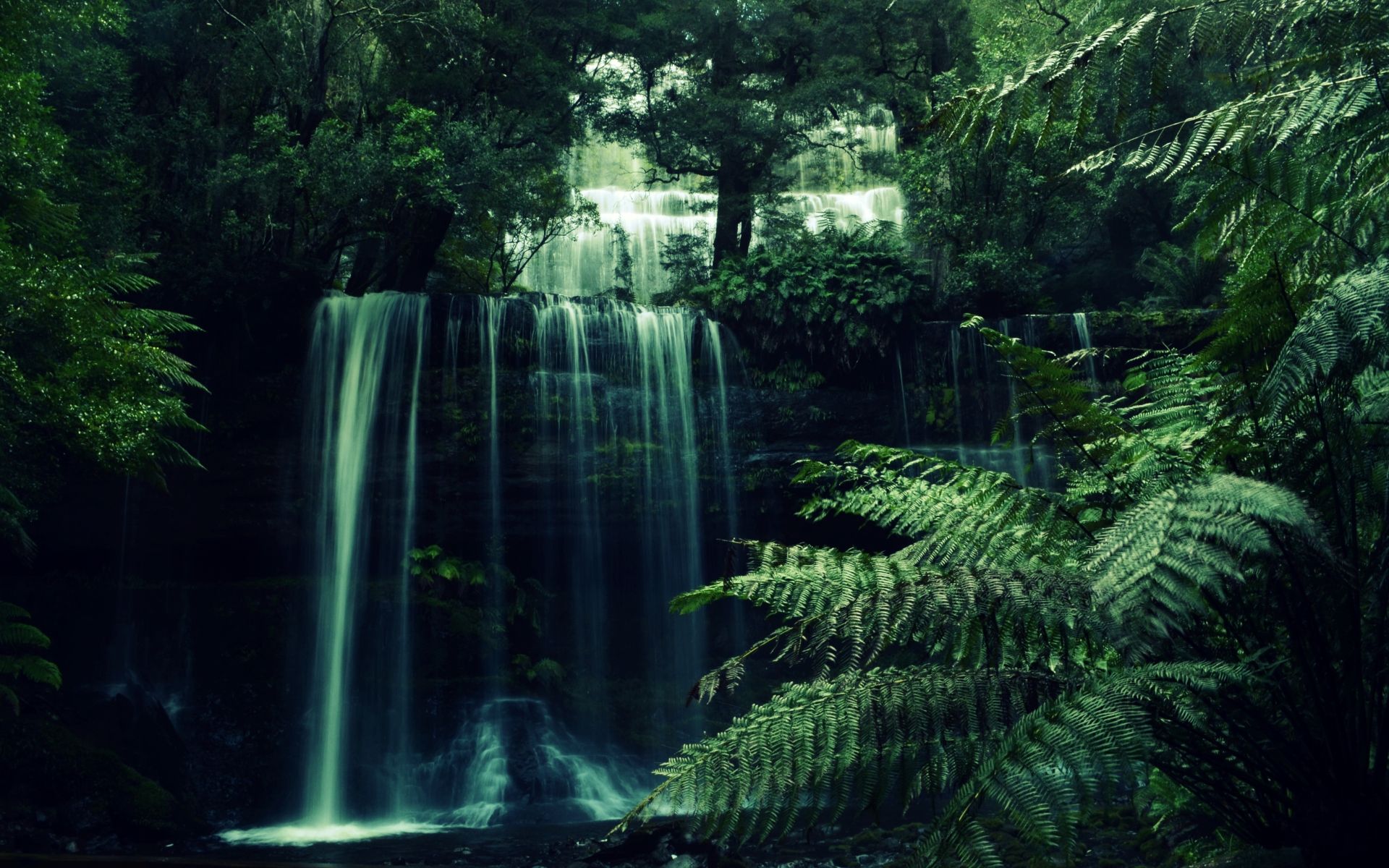 Cascata nella foresta verde, 1920x1200 Full HD+ WUXGA, iMac