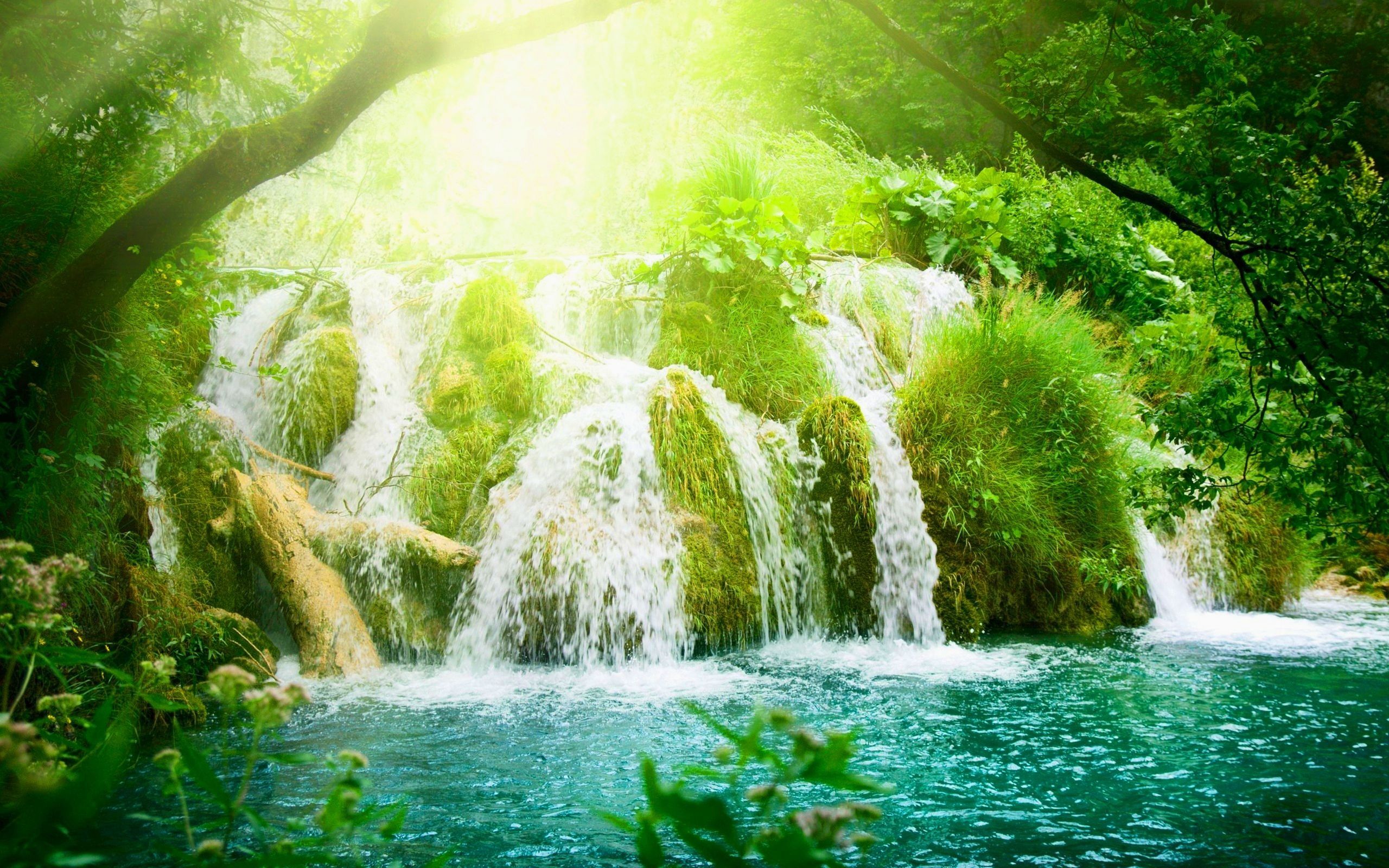 Cascata verde nella foresta, 2560x1600 WQXGA, Desktop