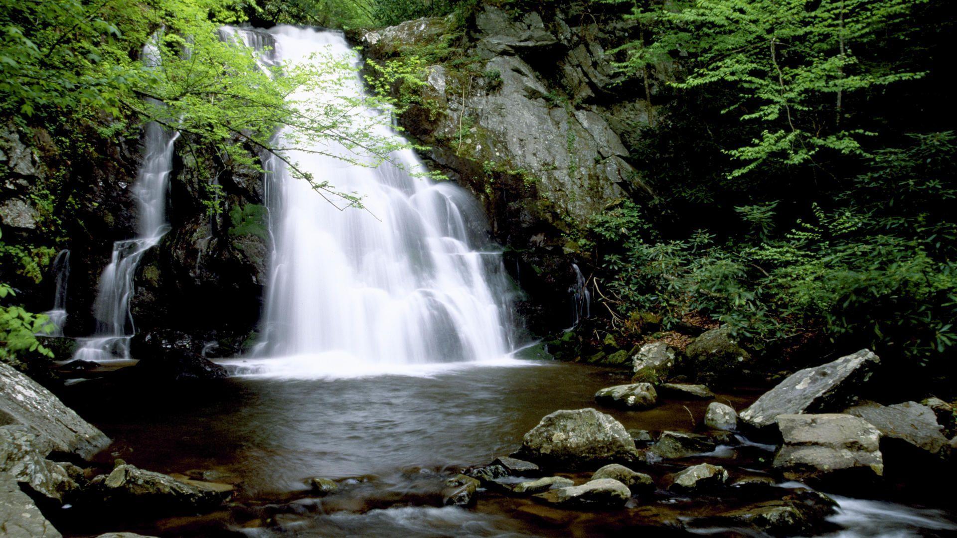 Cascata nella foresta verde, 1920x1080 Full HD, Desktop