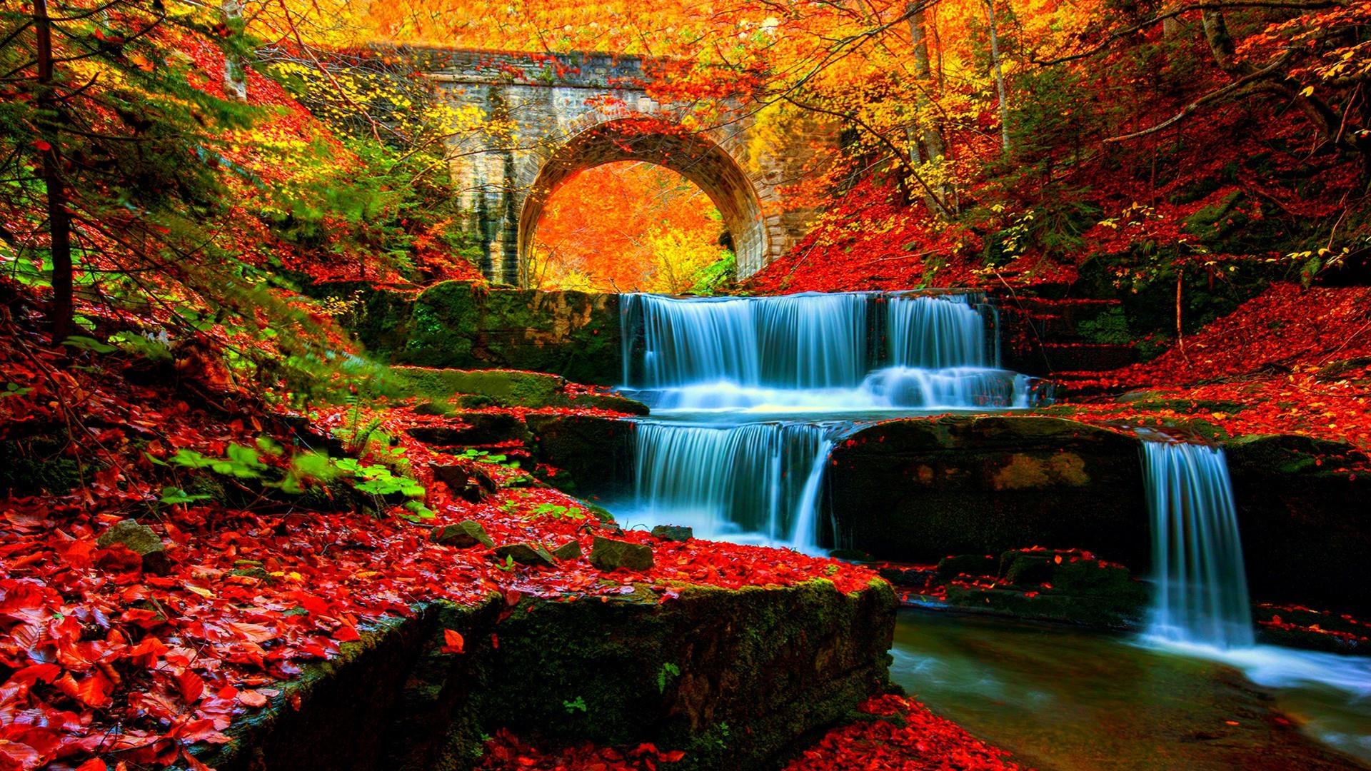 Cascata autunnale nella foresta, 1920x1080 1080p, PC