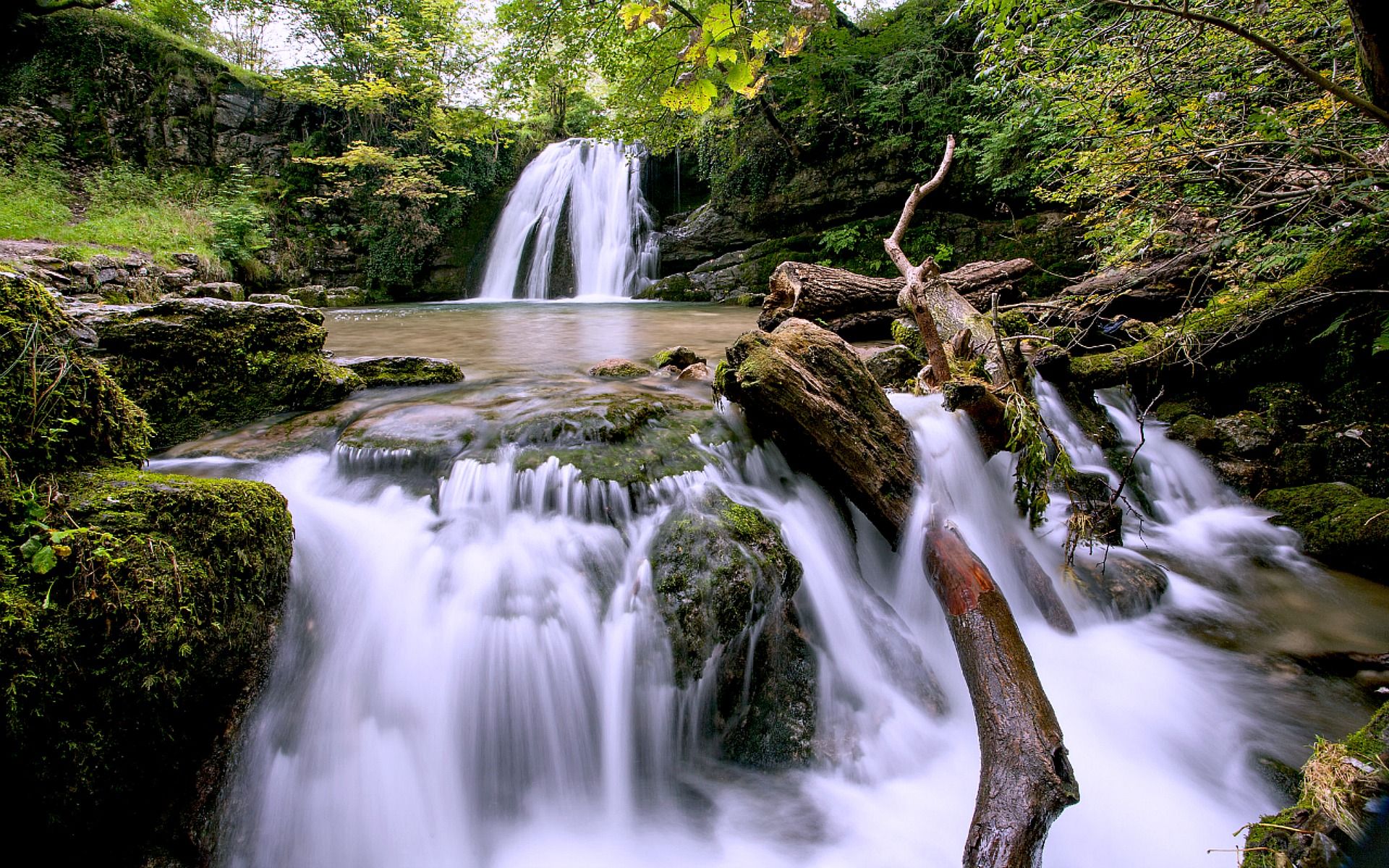 Cascata nella foresta verde, 1920x1200 Full HD+ WUXGA, Desktop