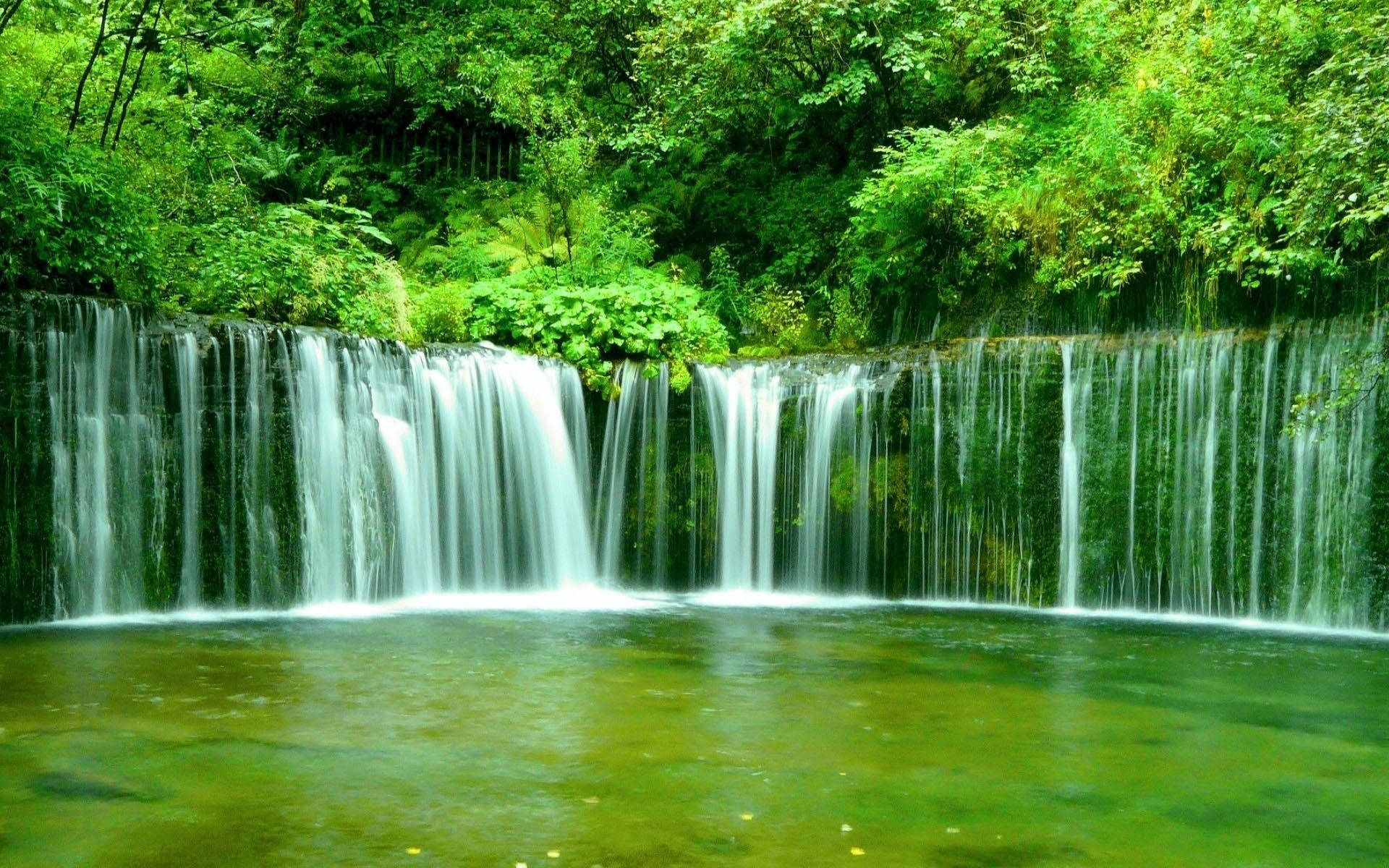 Cascata verde nella foresta, 1920x1200 Full HD+ WUXGA, Desktop