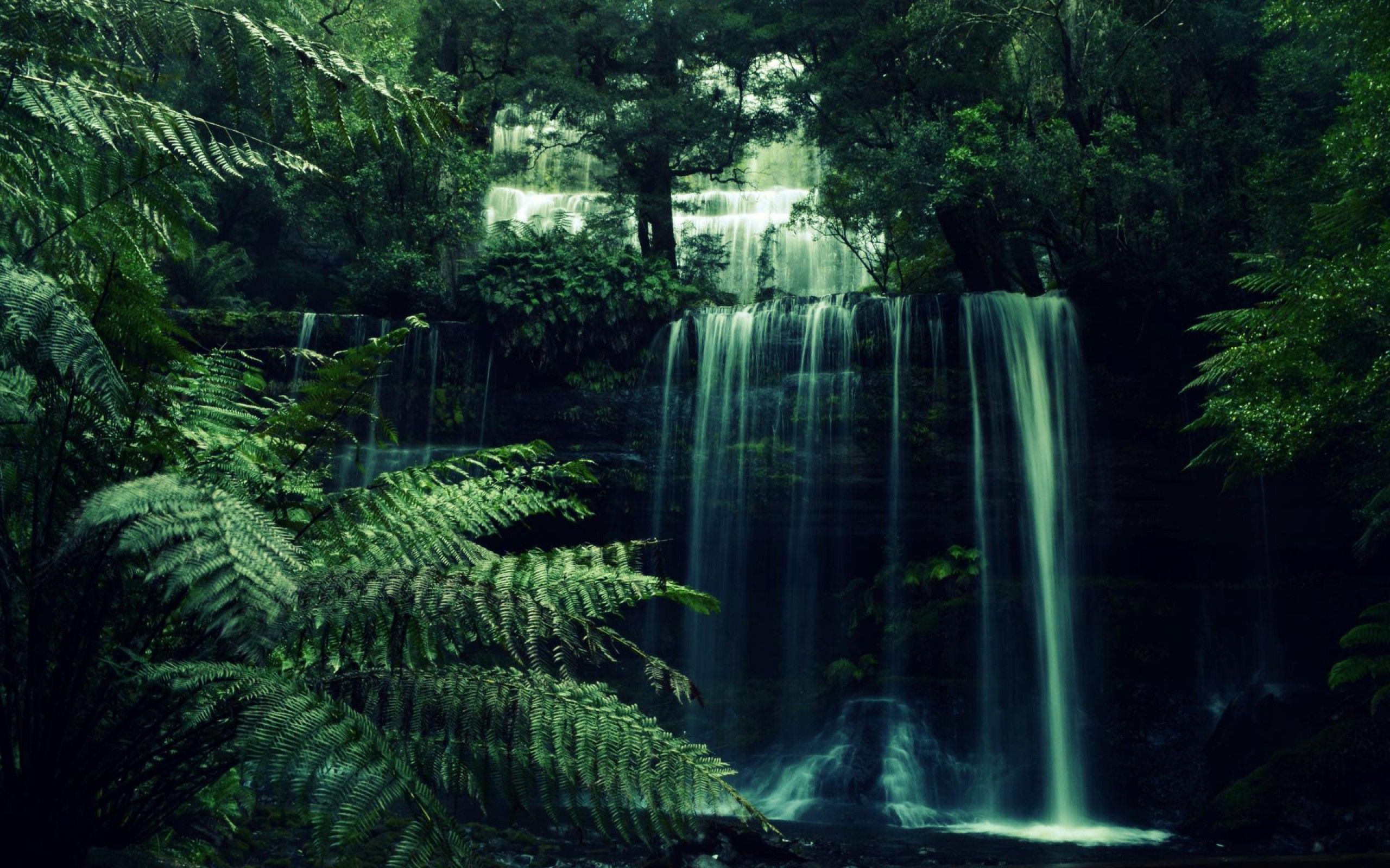 Cascata nella foresta verde, 2560x1600 WQXGA, Laptop