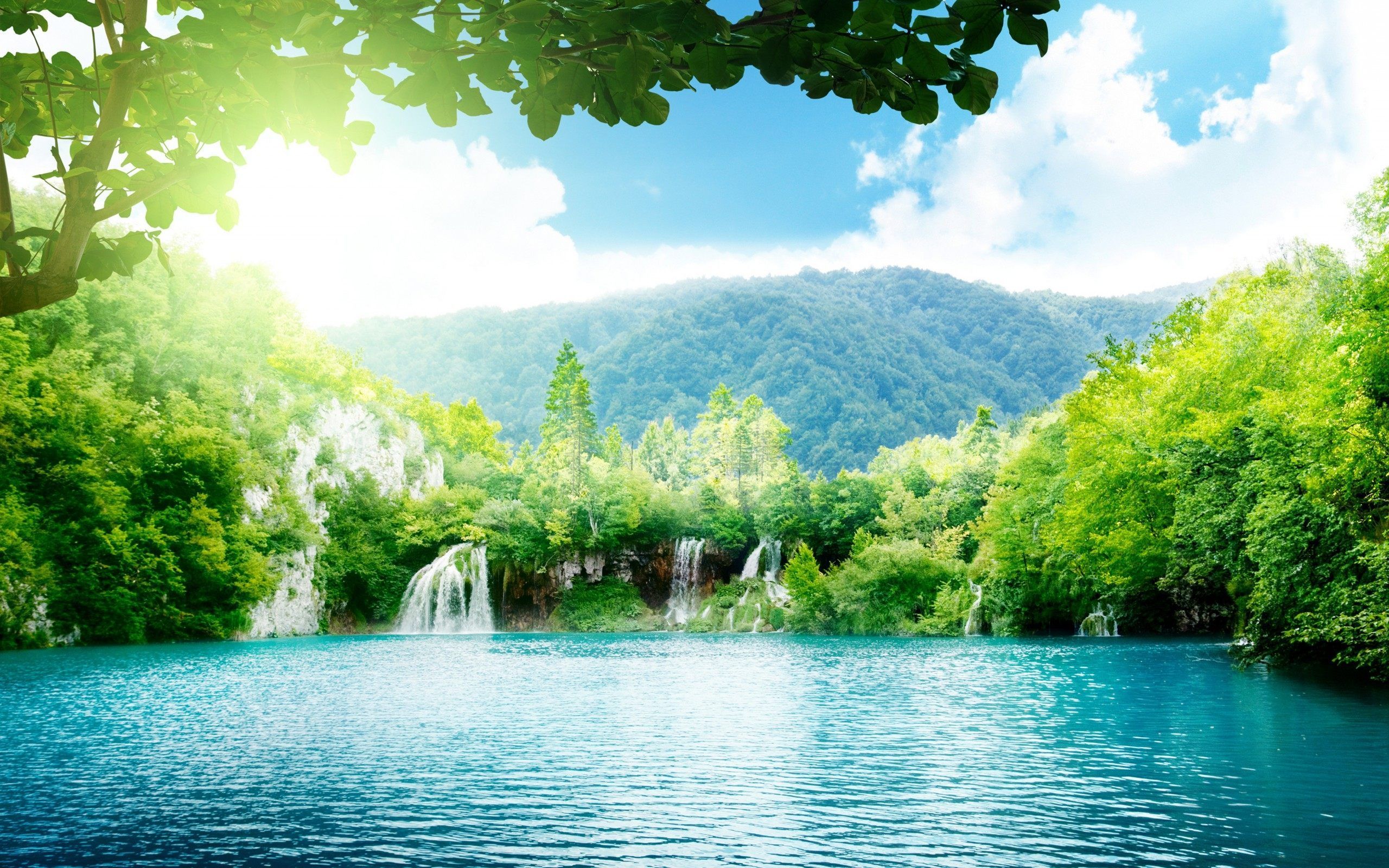 Cascata nella foresta verde, 2560x1600 2K+, MacBook Pro