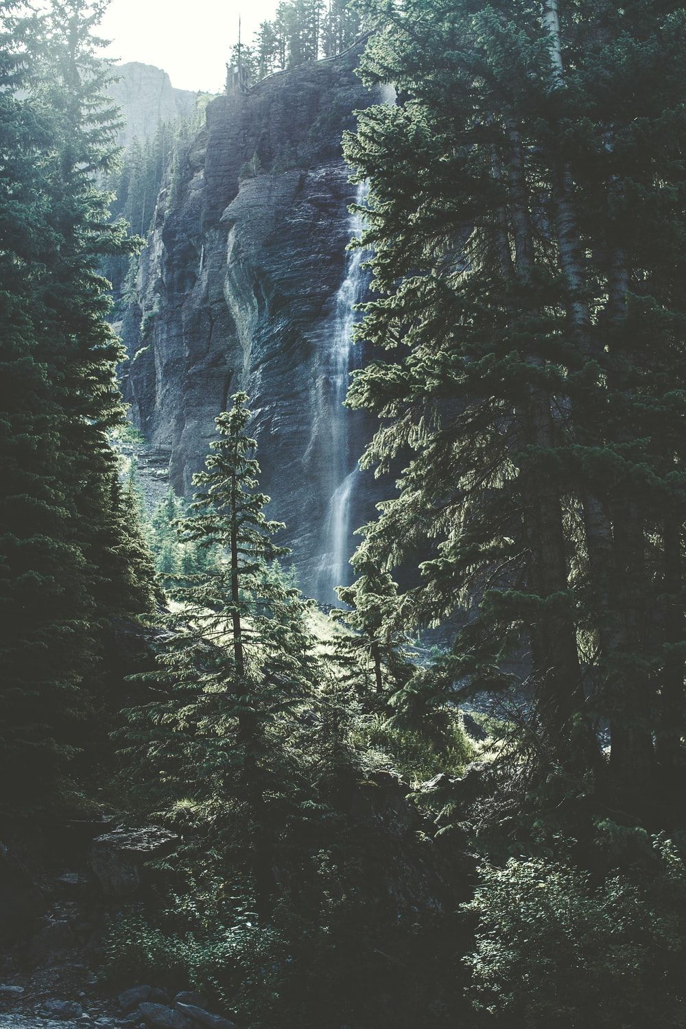 Cascata tra pareti rocciose e pini, 1000x1500 Full HD Verticale, iPhone