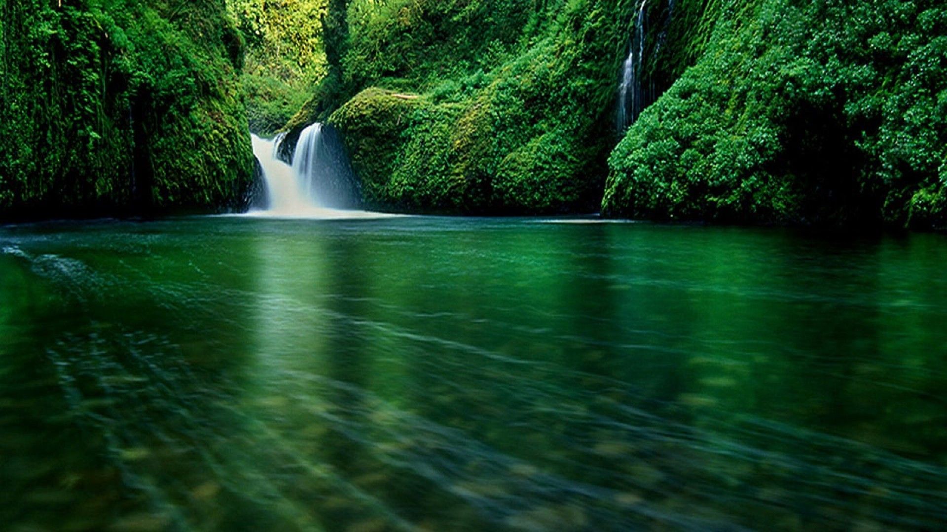 Cascata nella foresta verde, 1920x1080 Full HD, PC Desktop