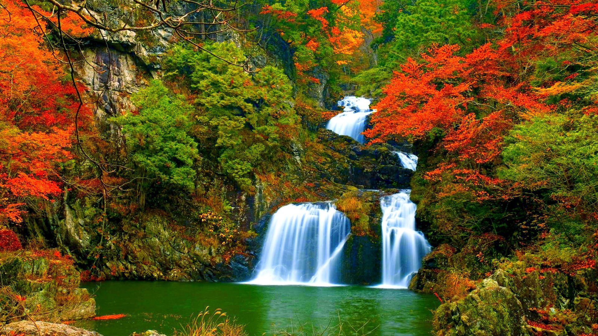 Cascata autunnale nella foresta, 1920x1080 Full HD, Desktop