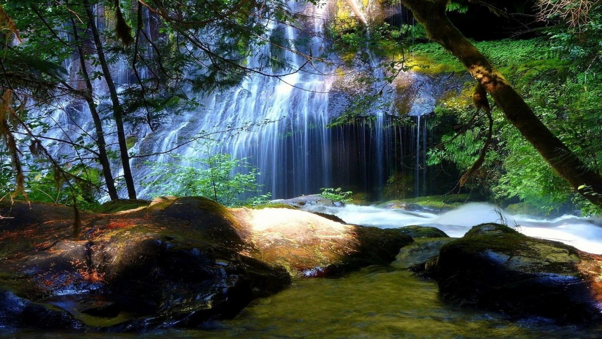 Cascata nella foresta verde, 1920x1080 1080p, Laptop