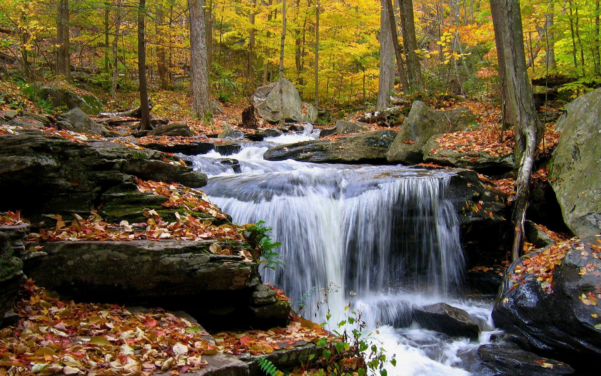 Cascata nella foresta autunnale, 1920x1200 Full HD+ WUXGA, Desktop