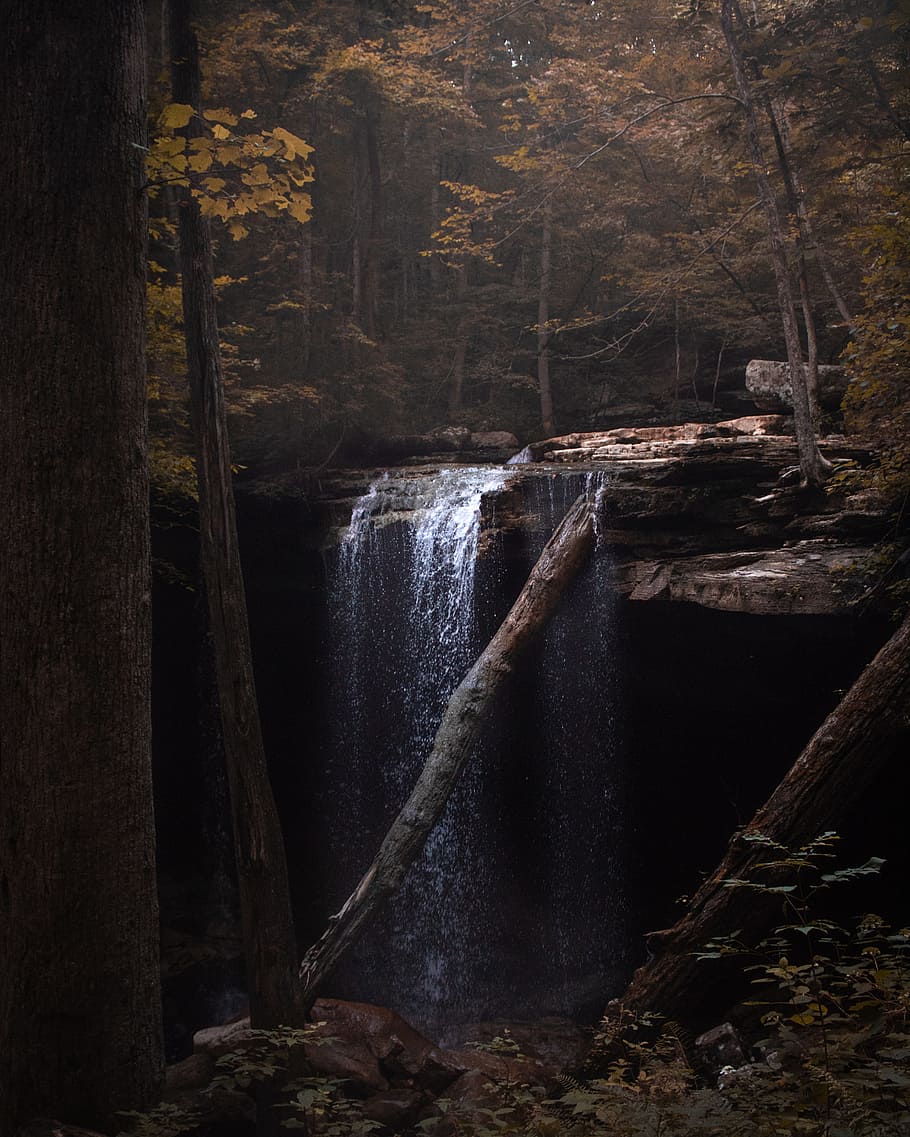 Cascata nella foresta scura, 910x1137 Full HD Verticale, Smartphone