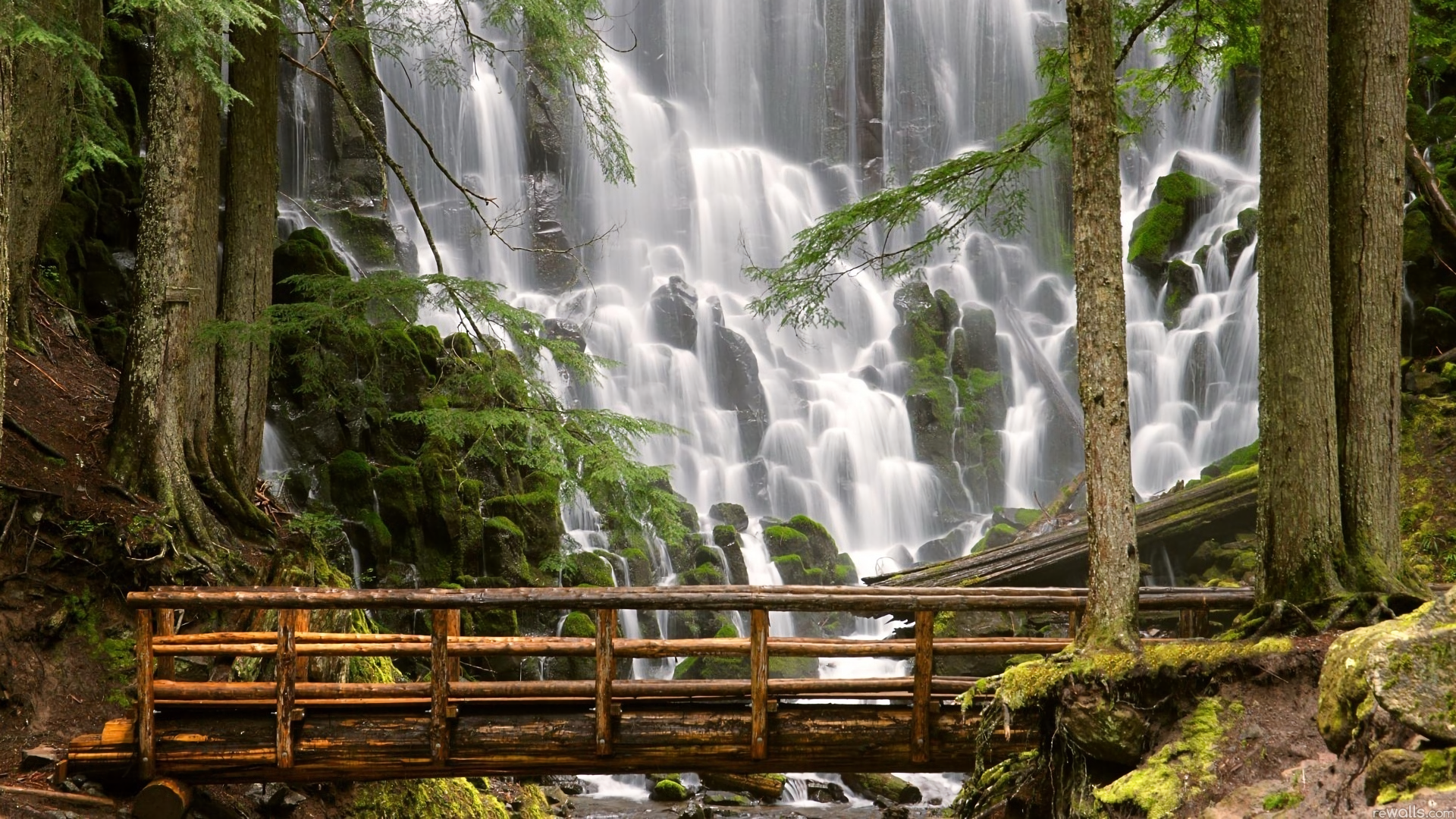 Cascata nella foresta con ponte, 1920x1080 Full HD, Desktop