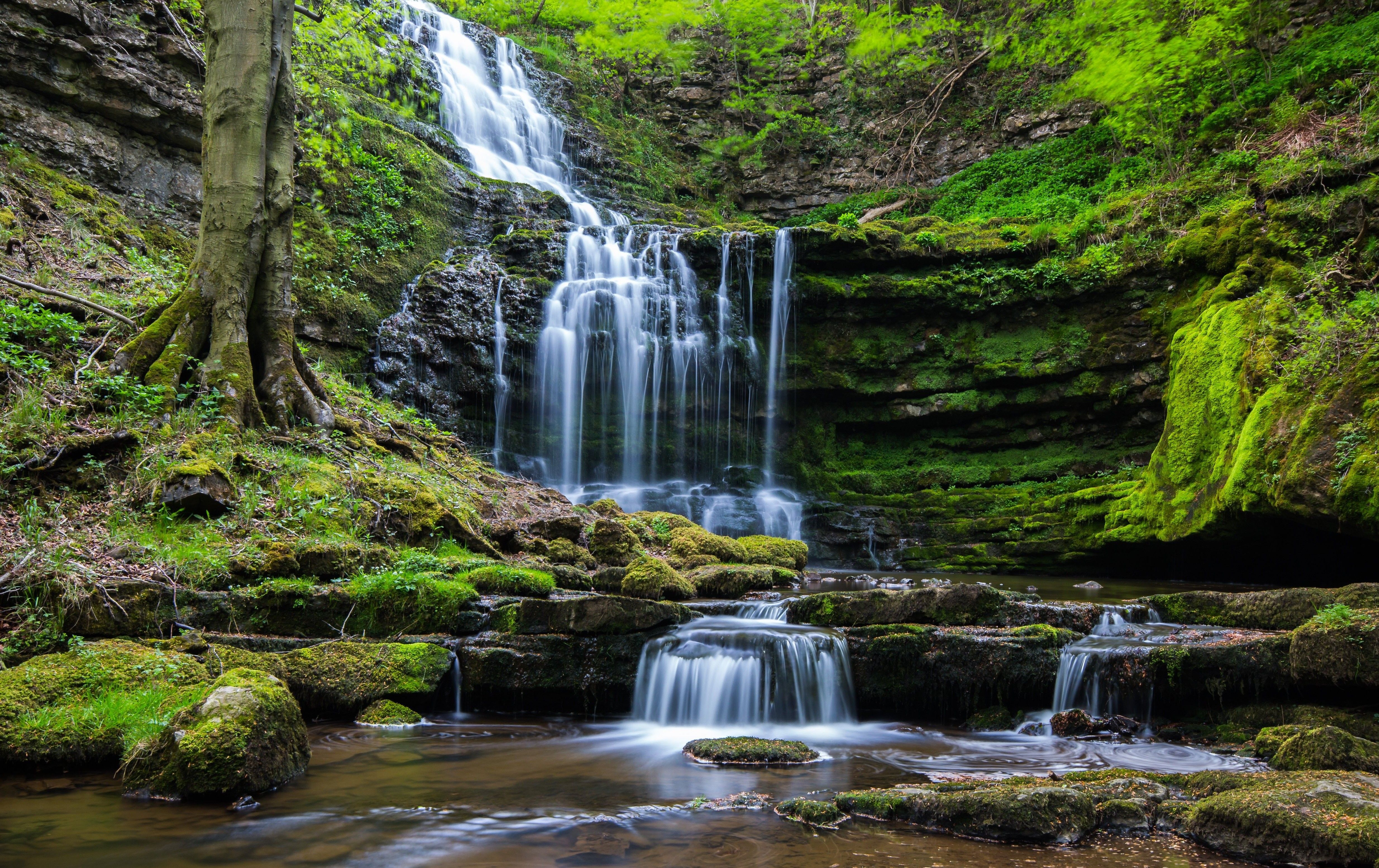 Cascata nella foresta verde, 4939x3109 UHD, PC 4K