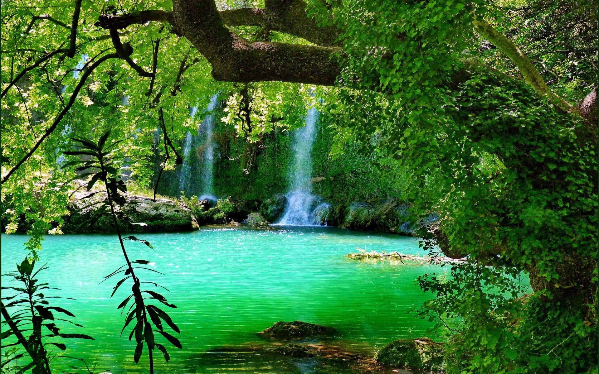 Cascata verde nella foresta, 1920x1200 WUXGA, Desktop