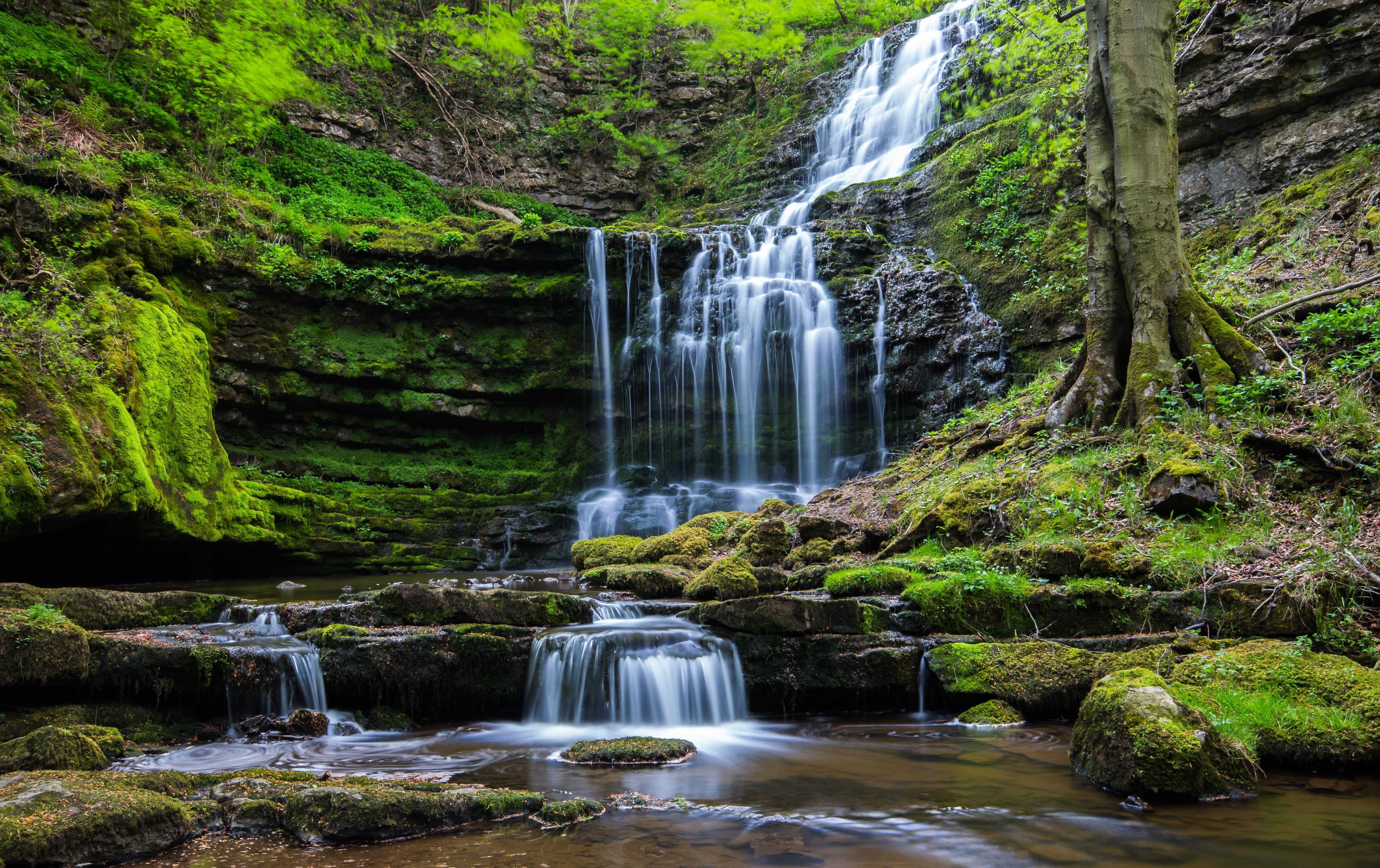 Cascata nella foresta con muschio, 4939x3109 4K, Desktop 4K