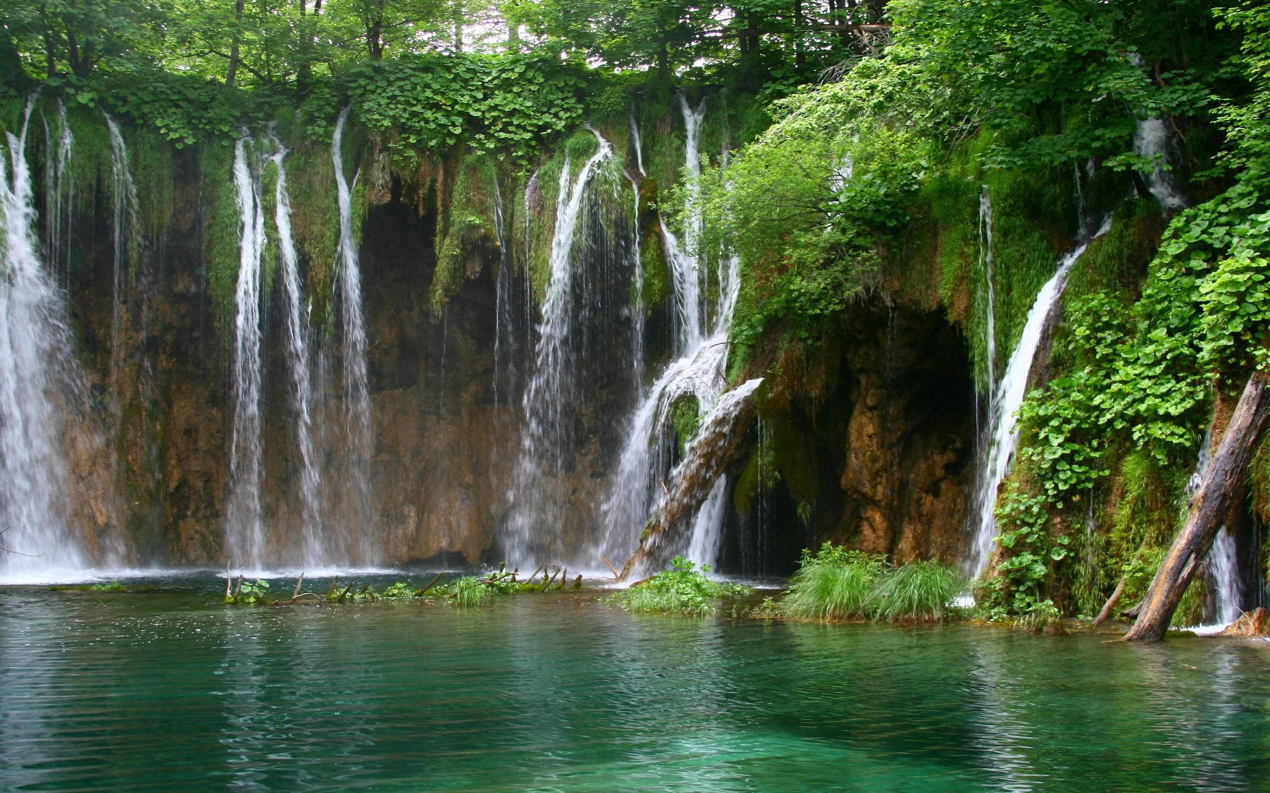 Cascata nella foresta verde, 2560x1600 2K+, MacBook Pro
