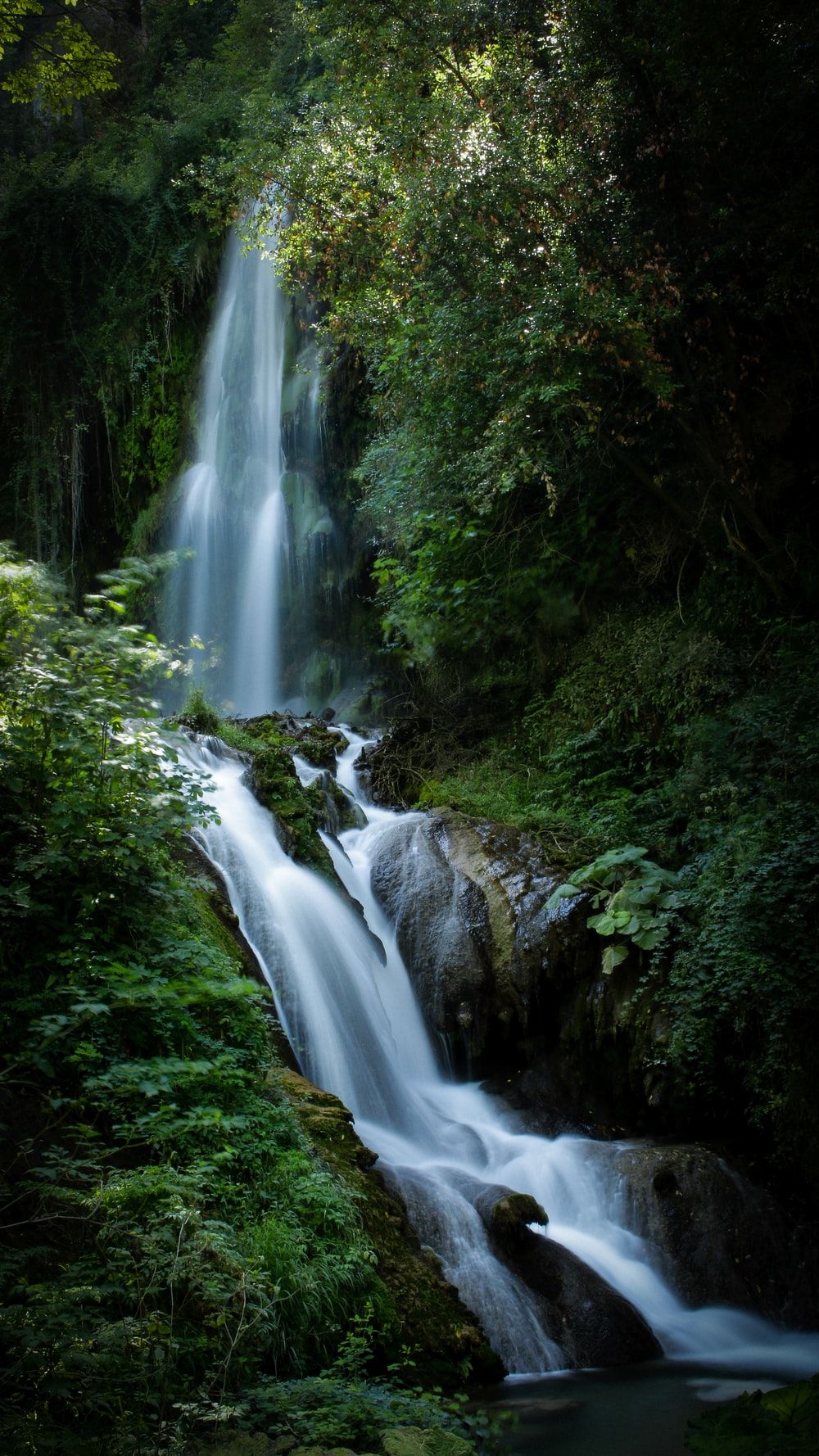 Cascata nella foresta verde, 1000x1778 Full HD Verticale, iPhone