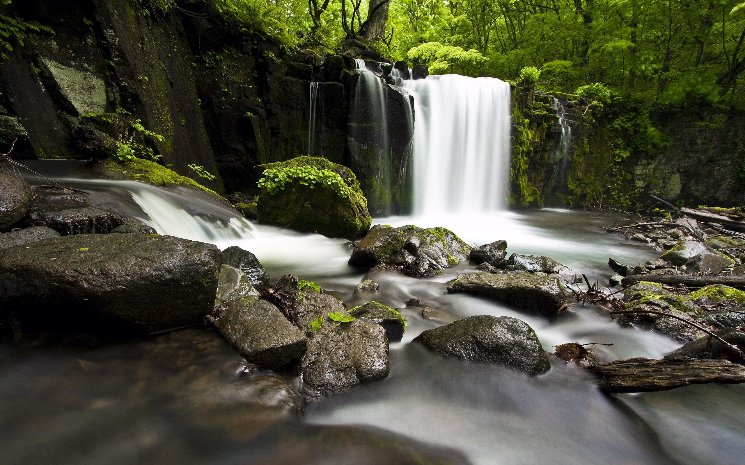 Cascata nella foresta verde, 2560x1600 2K+, Desktop