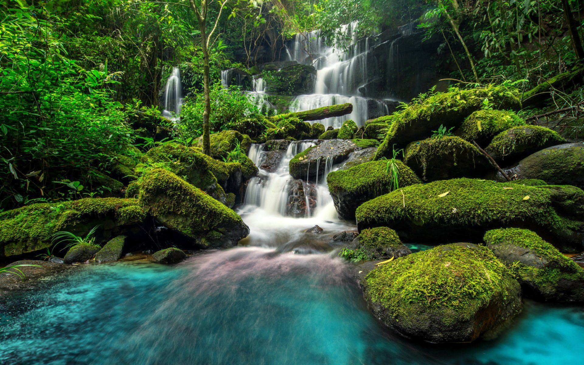Cascata rocce muschiose foresta verde, 1920x1200 Full HD+, Desktop