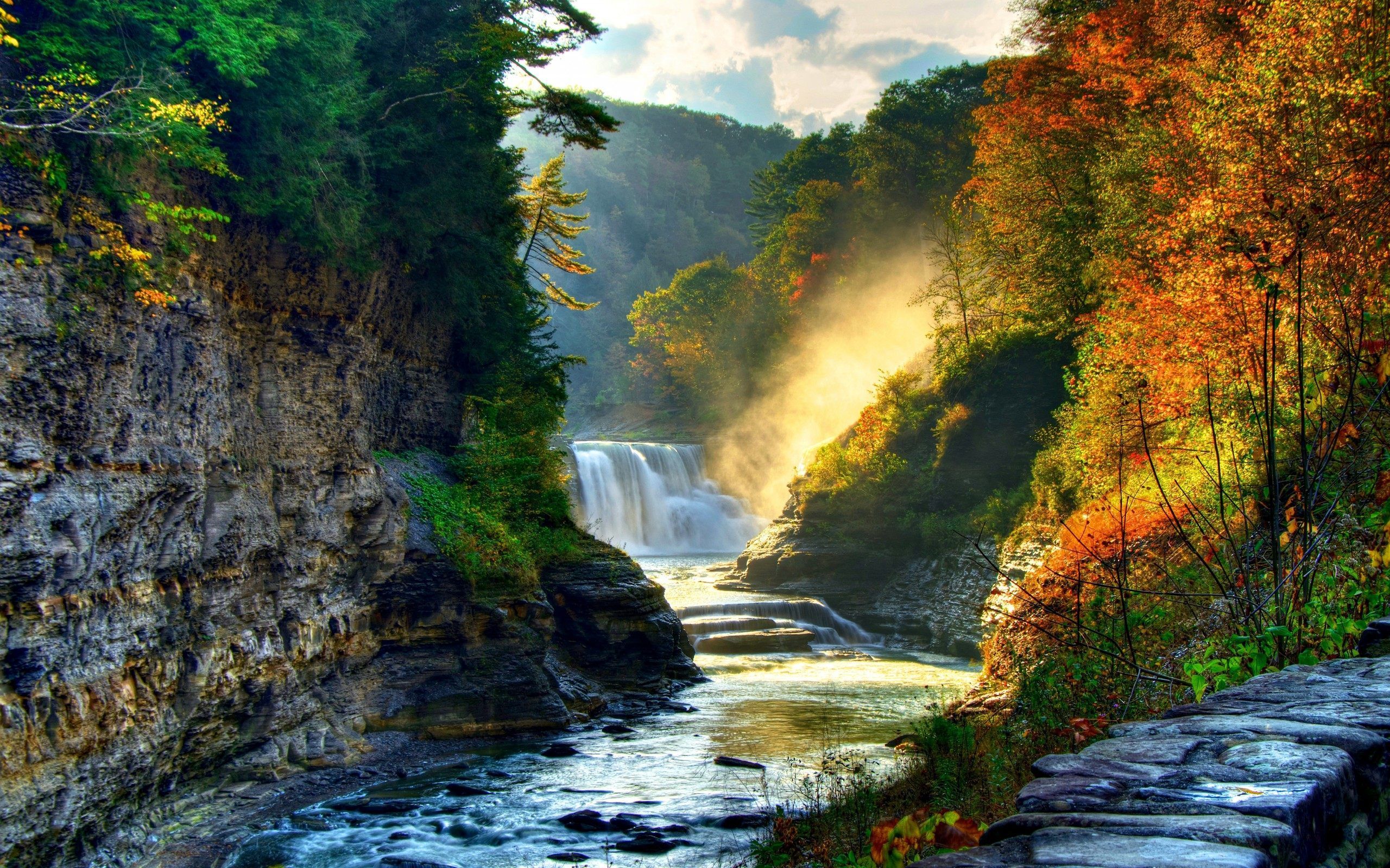 Cascata nella gola boschiva, 2560x1600 2K+, PC