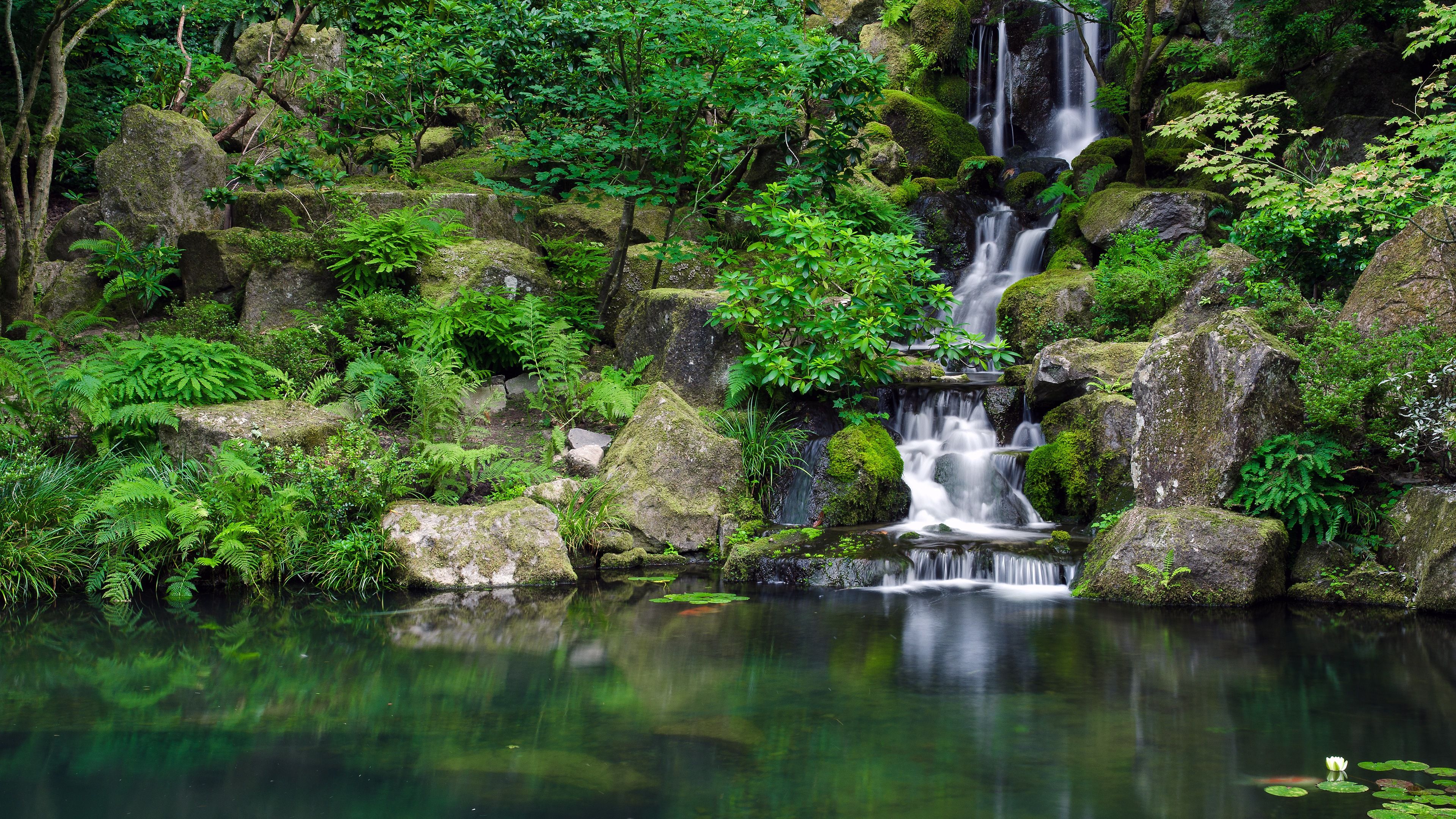 Cascata nella foresta verde, 3840x2160 Ultra HD, 4K TV