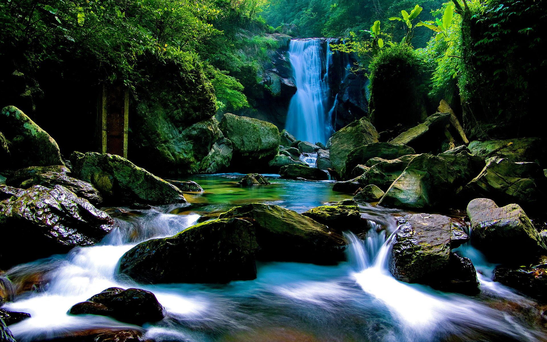 Cascata nella foresta verde, 1920x1200 Full HD+, Desktop