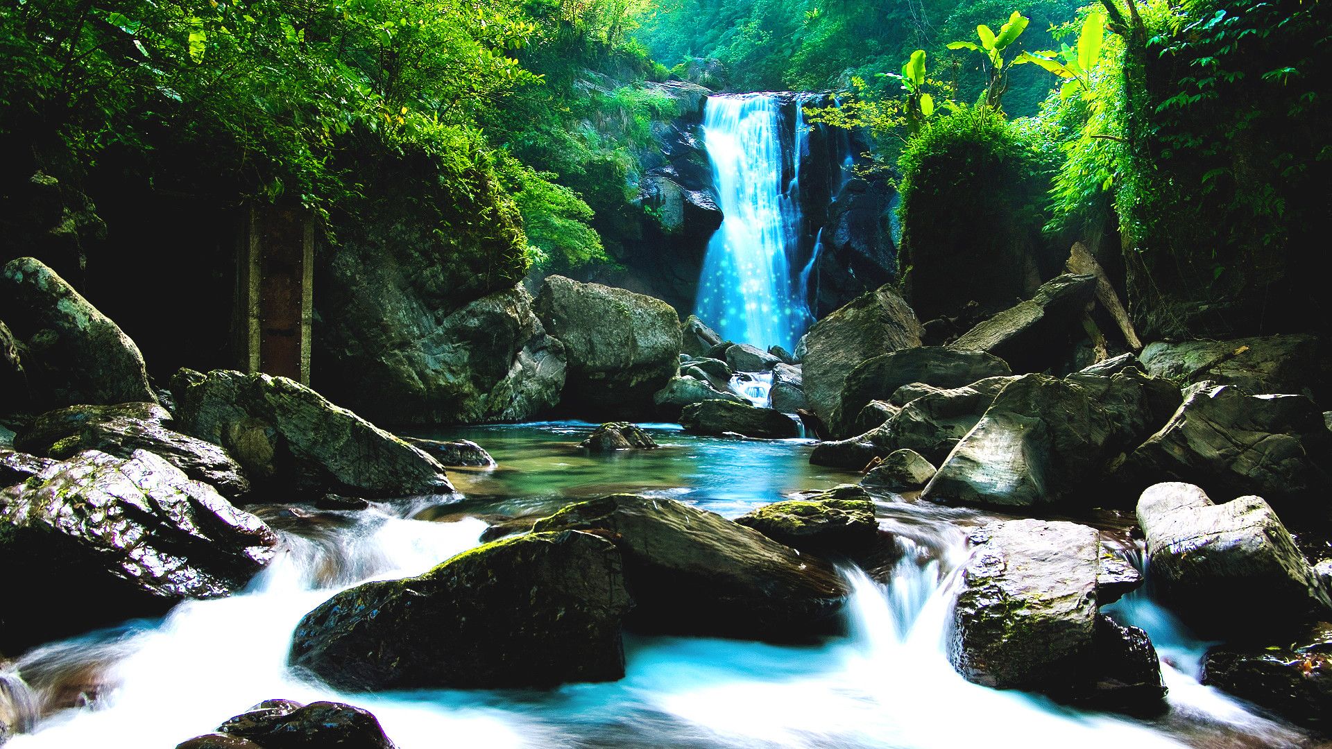 Cascata nella foresta verde, 1920x1080 Full HD, Desktop