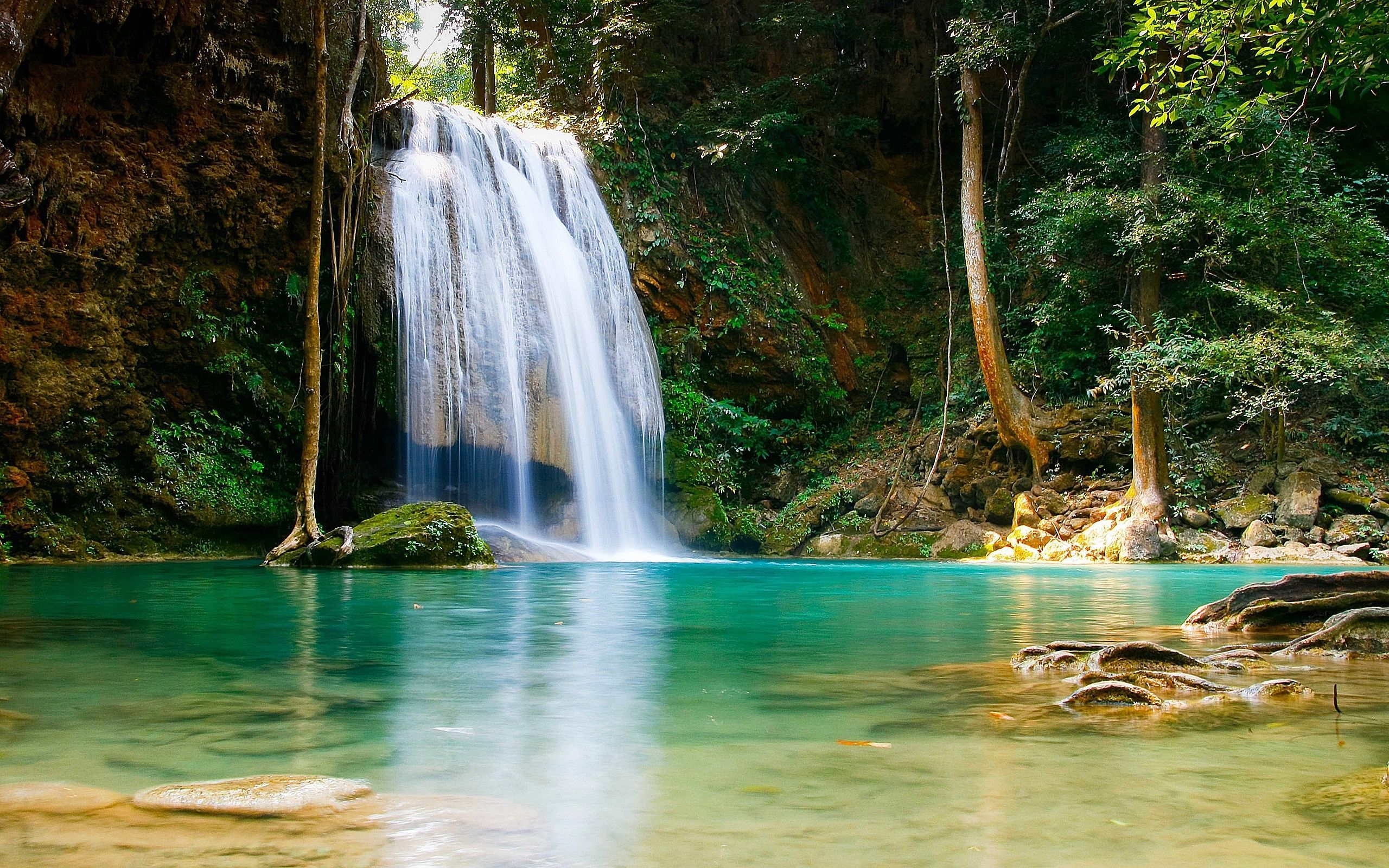 Cascata nella foresta tropicale, 2560x1600 2K, Laptop