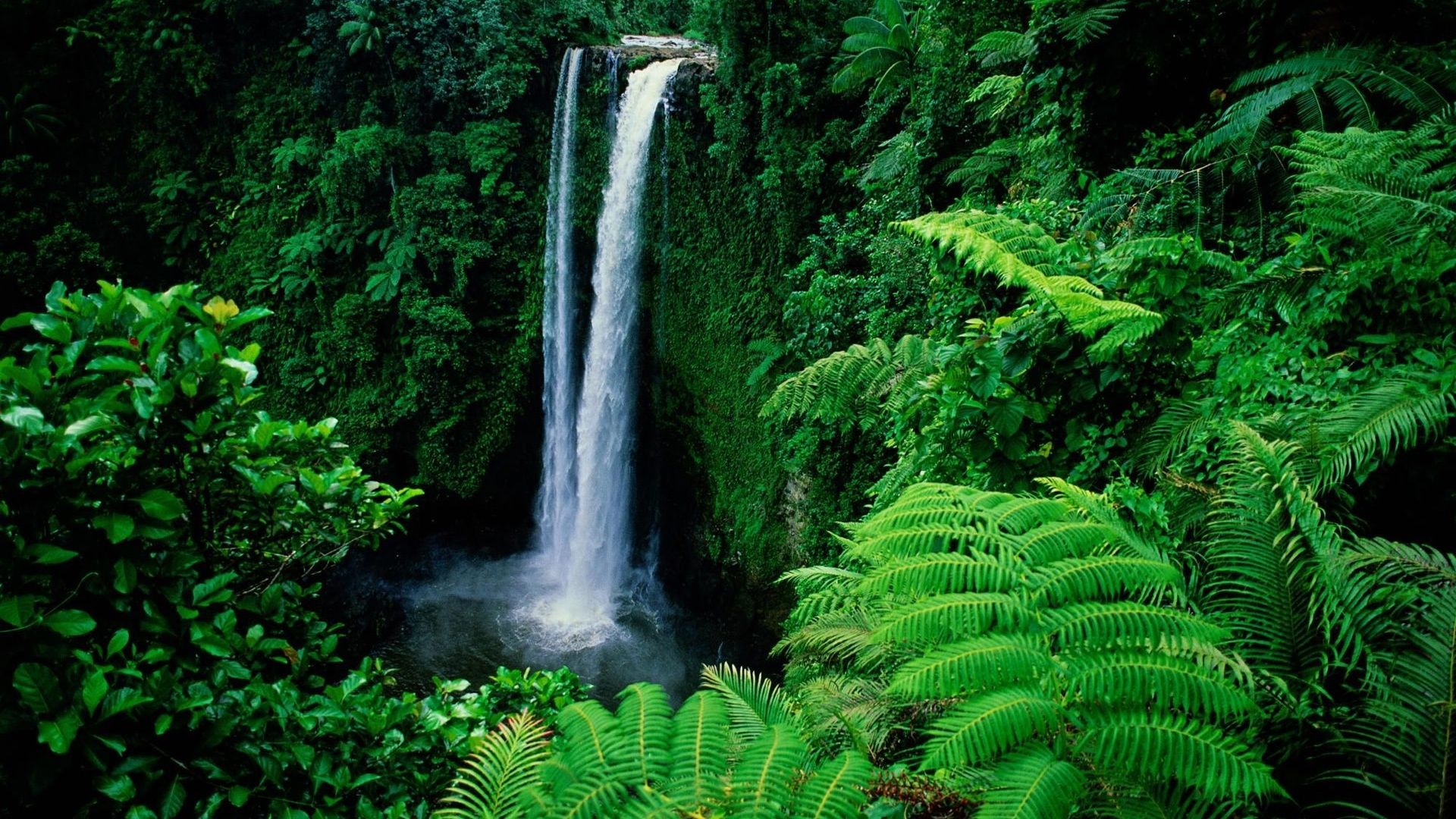 Cascata nella foresta verde, 1920x1080 Full HD 1080p, Desktop